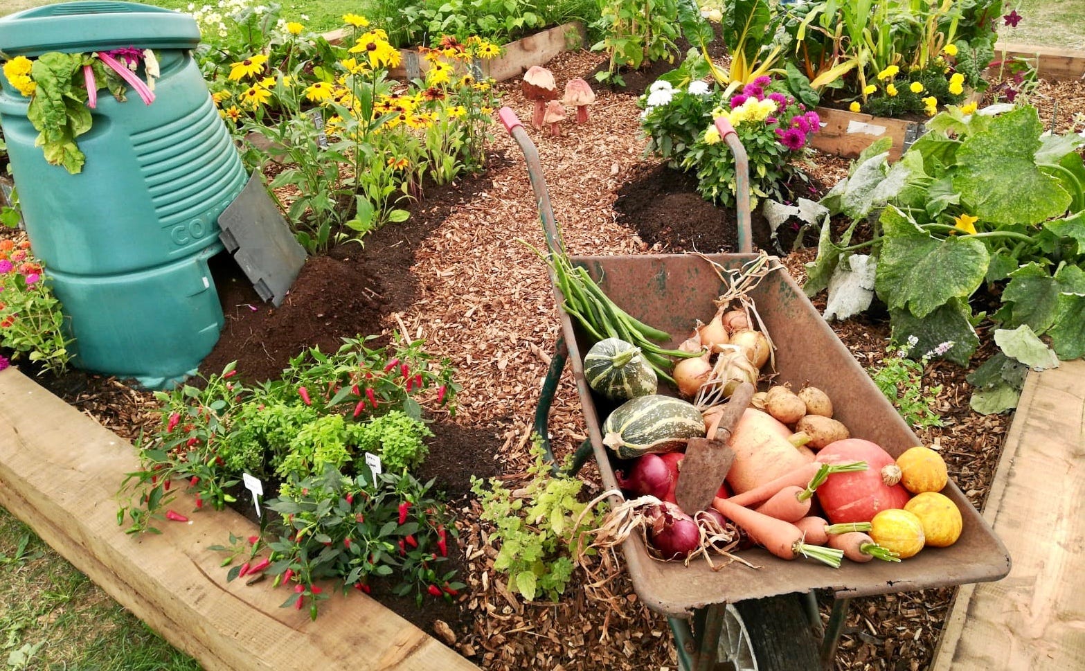 How to Grow Vegetables in Any Outdoor Space – Roger's Gardens