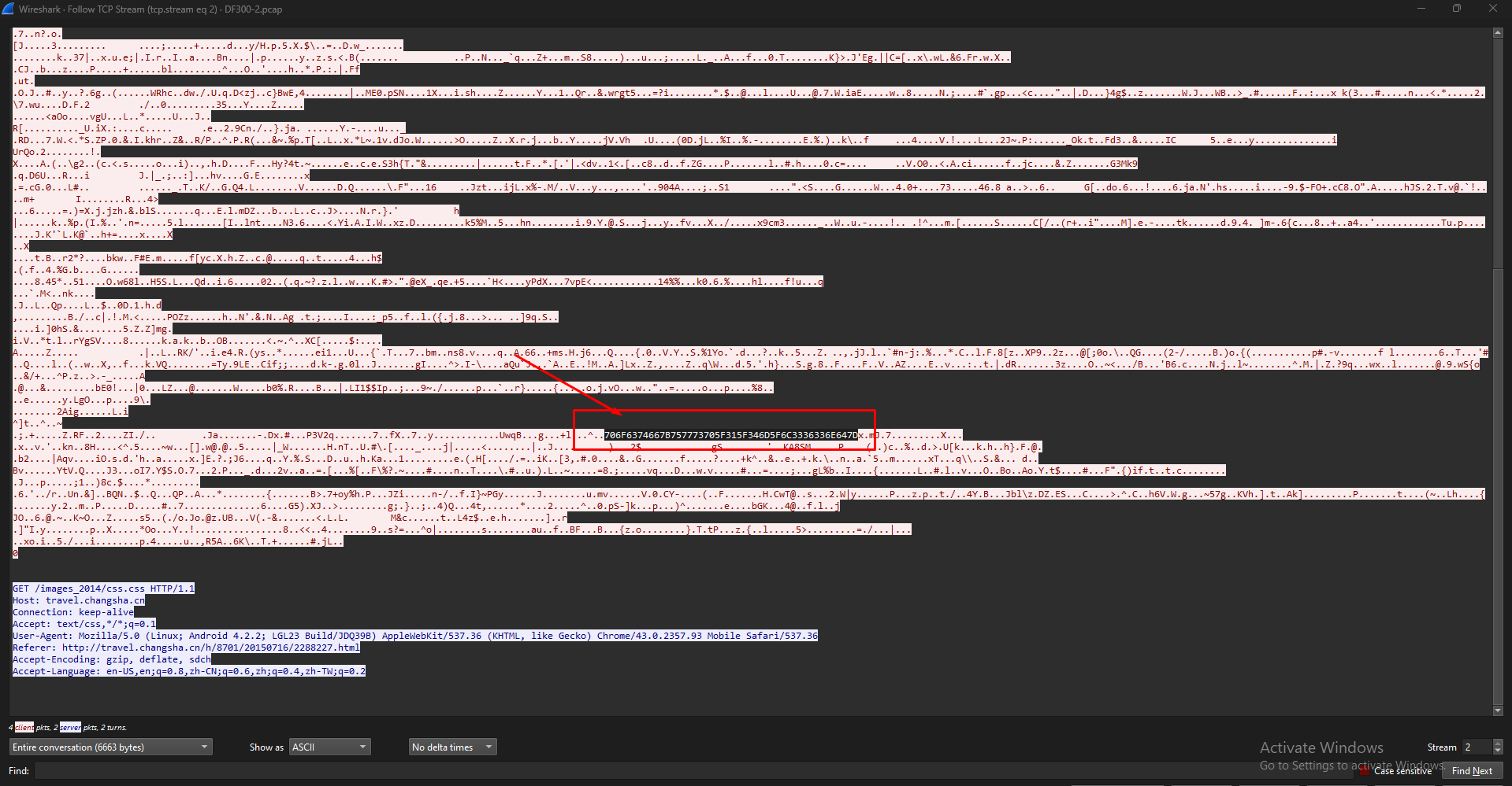 PointerOverflow CTF 2024 — Complete Digital Forensics Writeup | by Nathan |  Medium