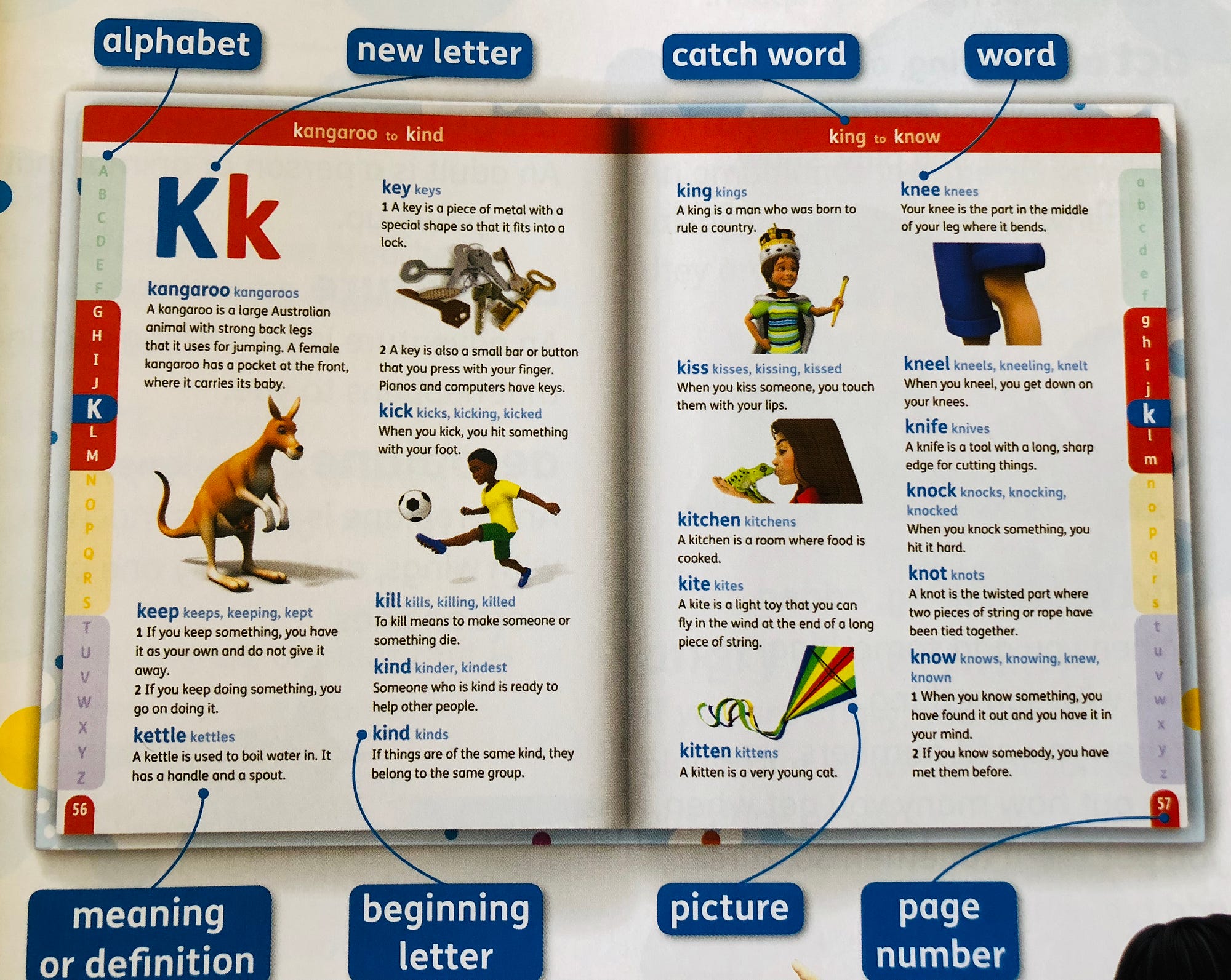 為孩子準備一本英語工具書：4–10歲，兒童英英字典這樣選！┃鰻魚家家酒