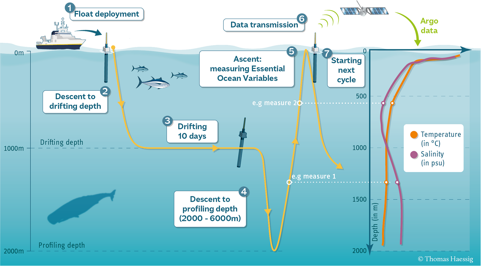 An Introduction to Ocean Data. And a brief explanation of what…, by Derya  Gumustel