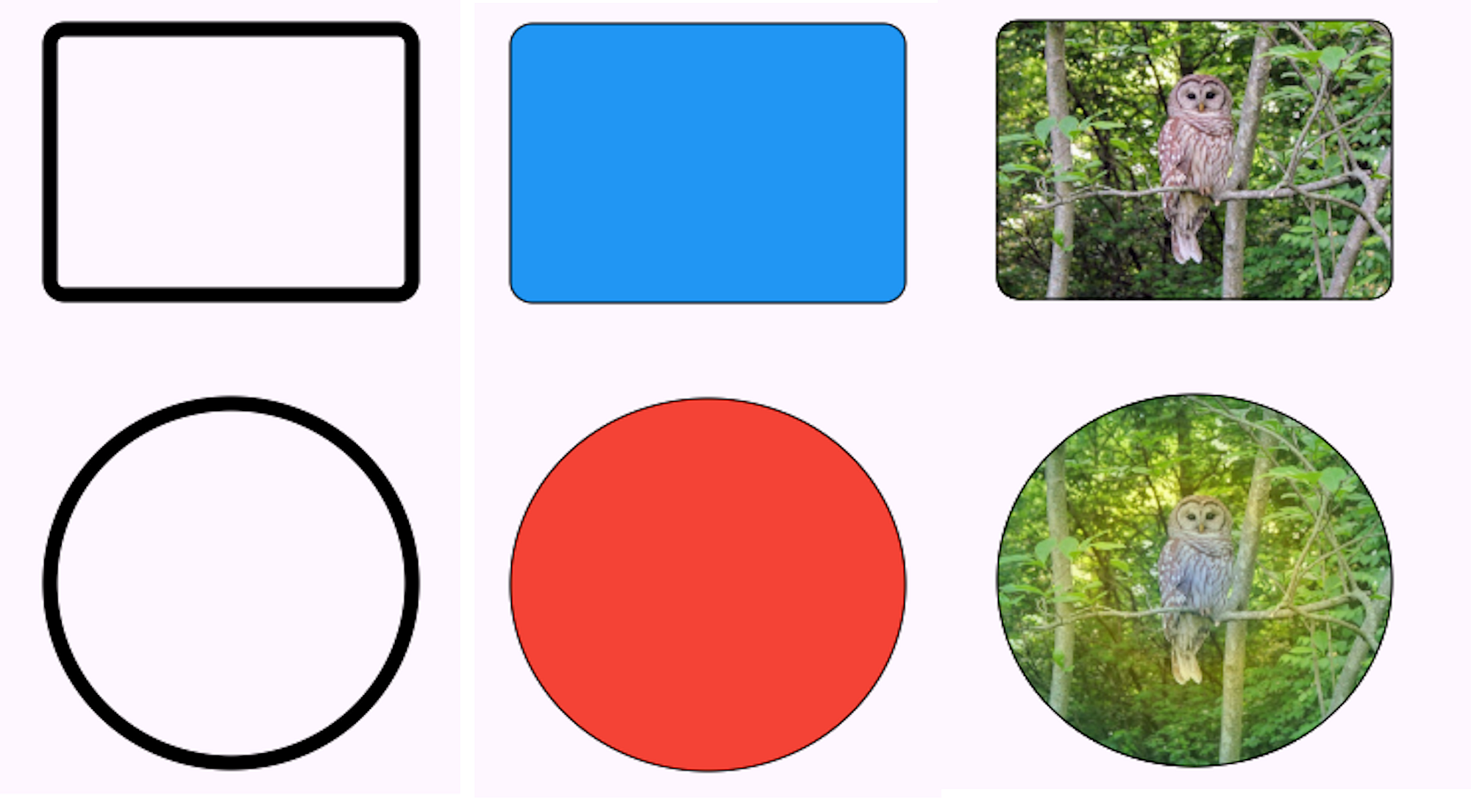 Container Widget Box Model In Flutter All You Need To Know