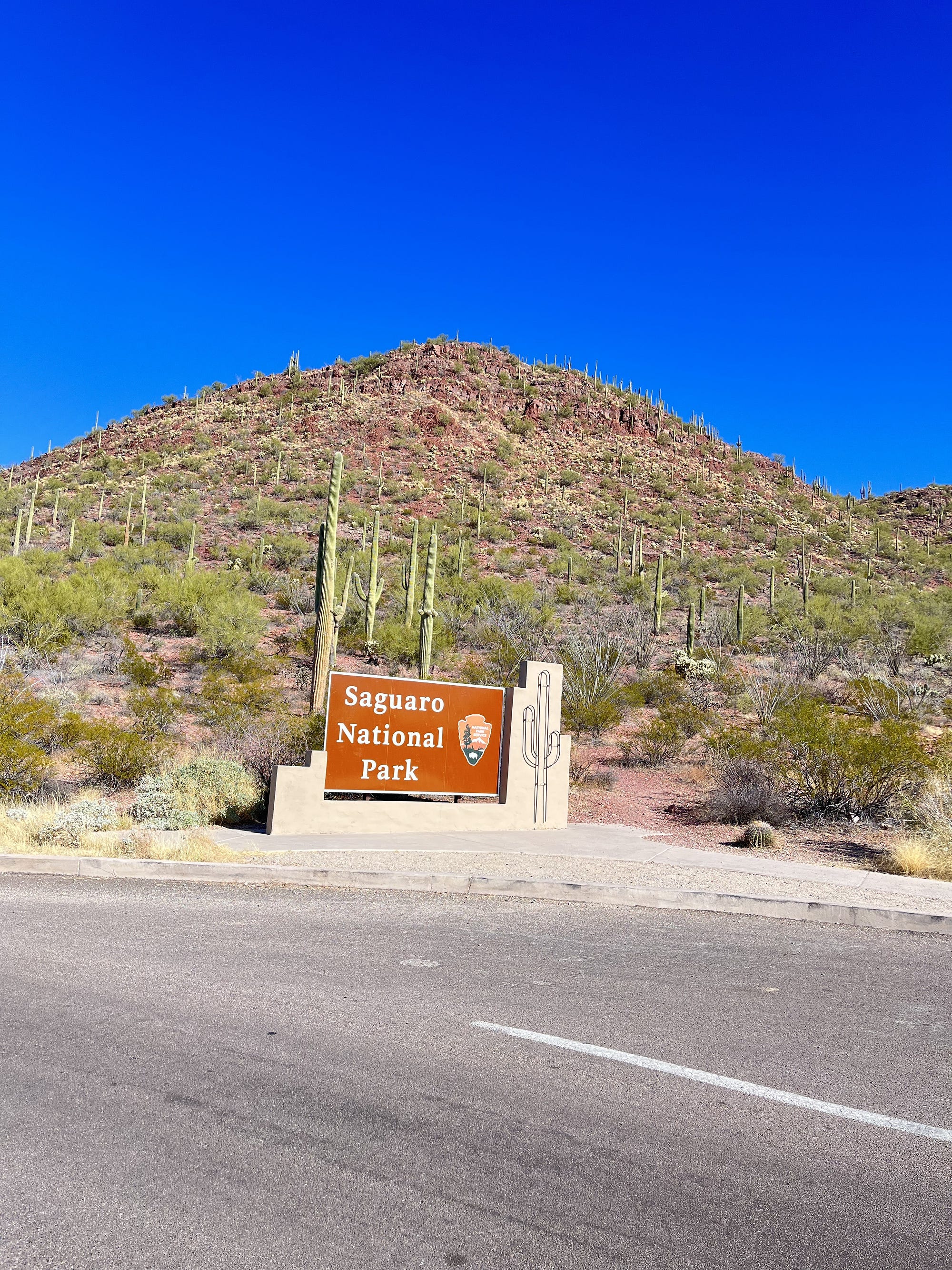 Under The Tucson Sun. The Cactus City in the Grand Canyon | by Seconde  Nimenya | Globetrotters | Medium