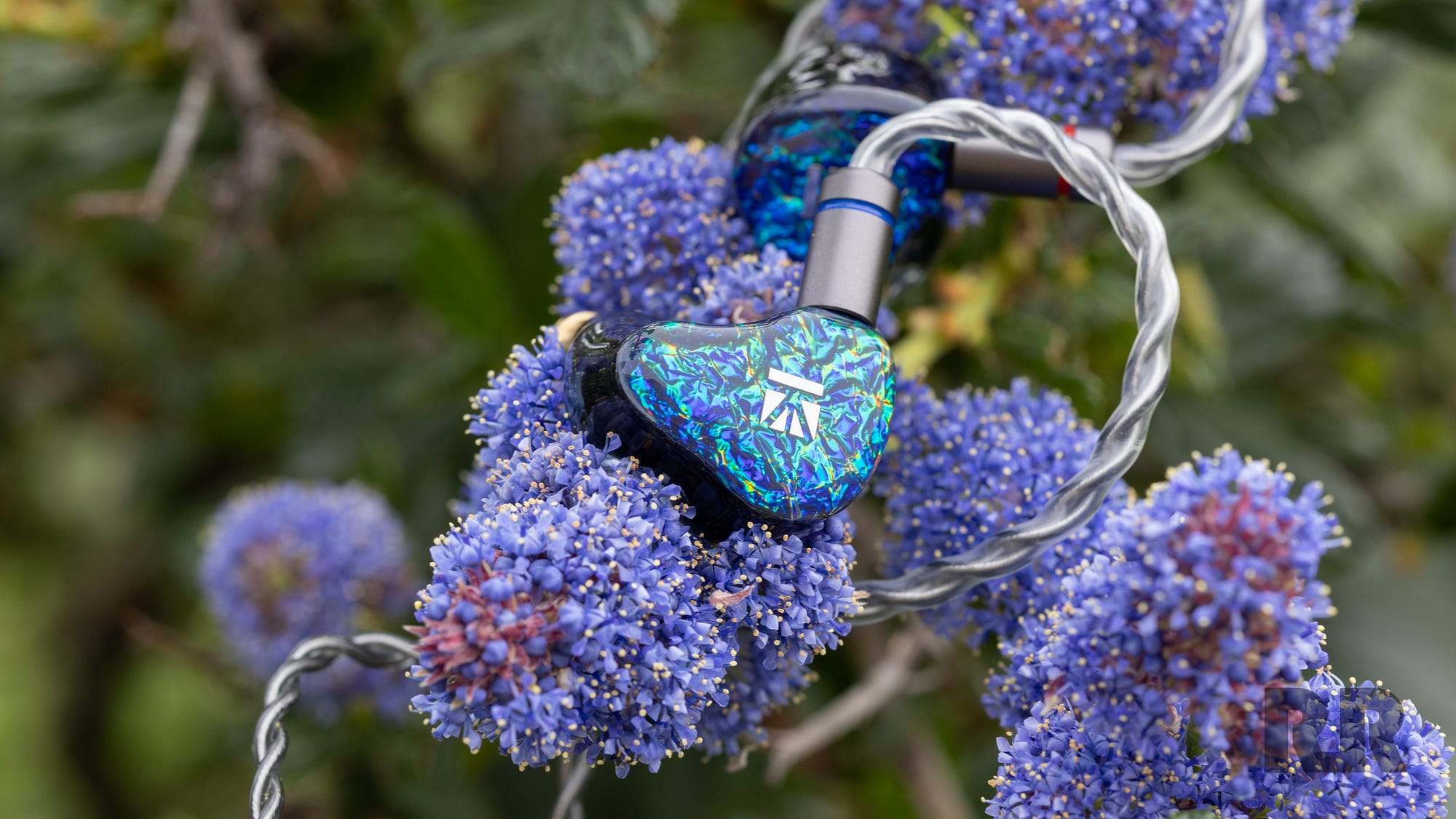 KBEar SR-8 Review: The Journey, Not the Destination | by Aaron