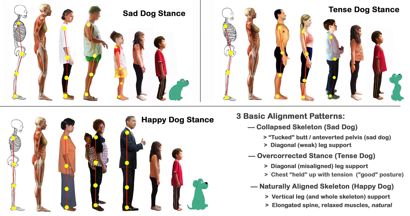 Its all about posture and performance， the ultimate winning alignment！