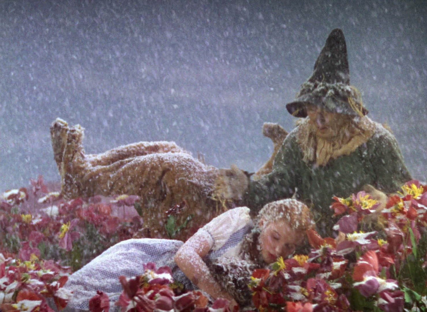 Wizard Of Oz Poppies Snow