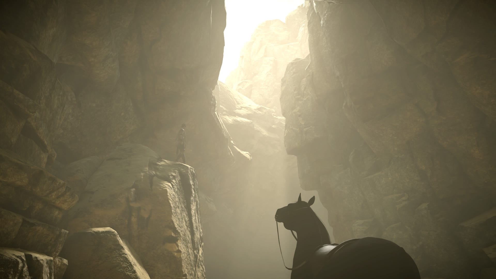 Shadow Of The Colossus' Remake Lets You Better Appreciate The