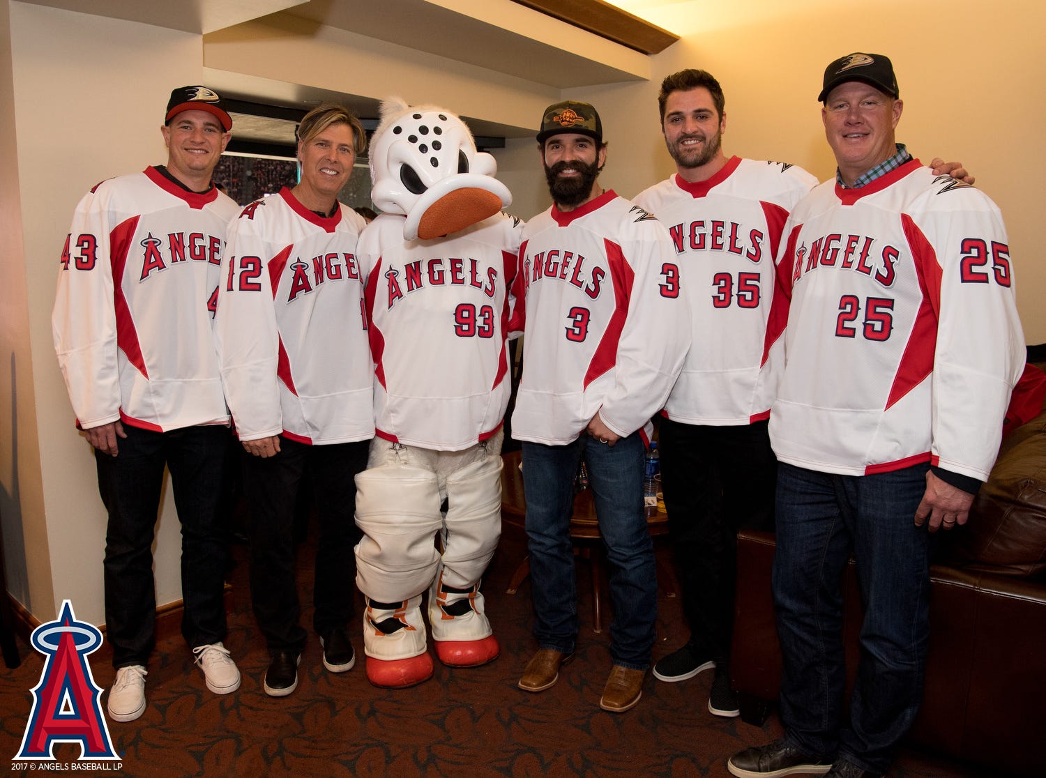 ducks and angels jersey