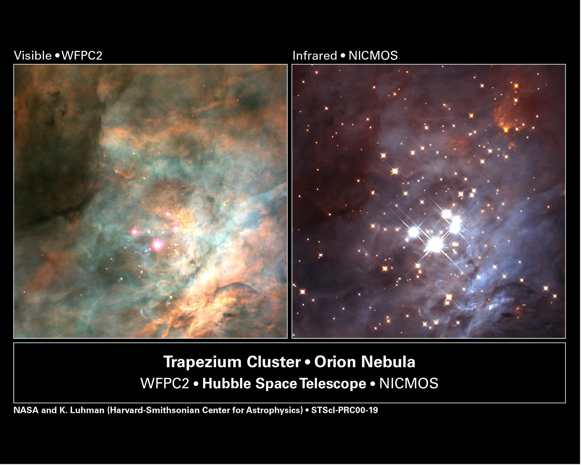 orion nebula through binoculars