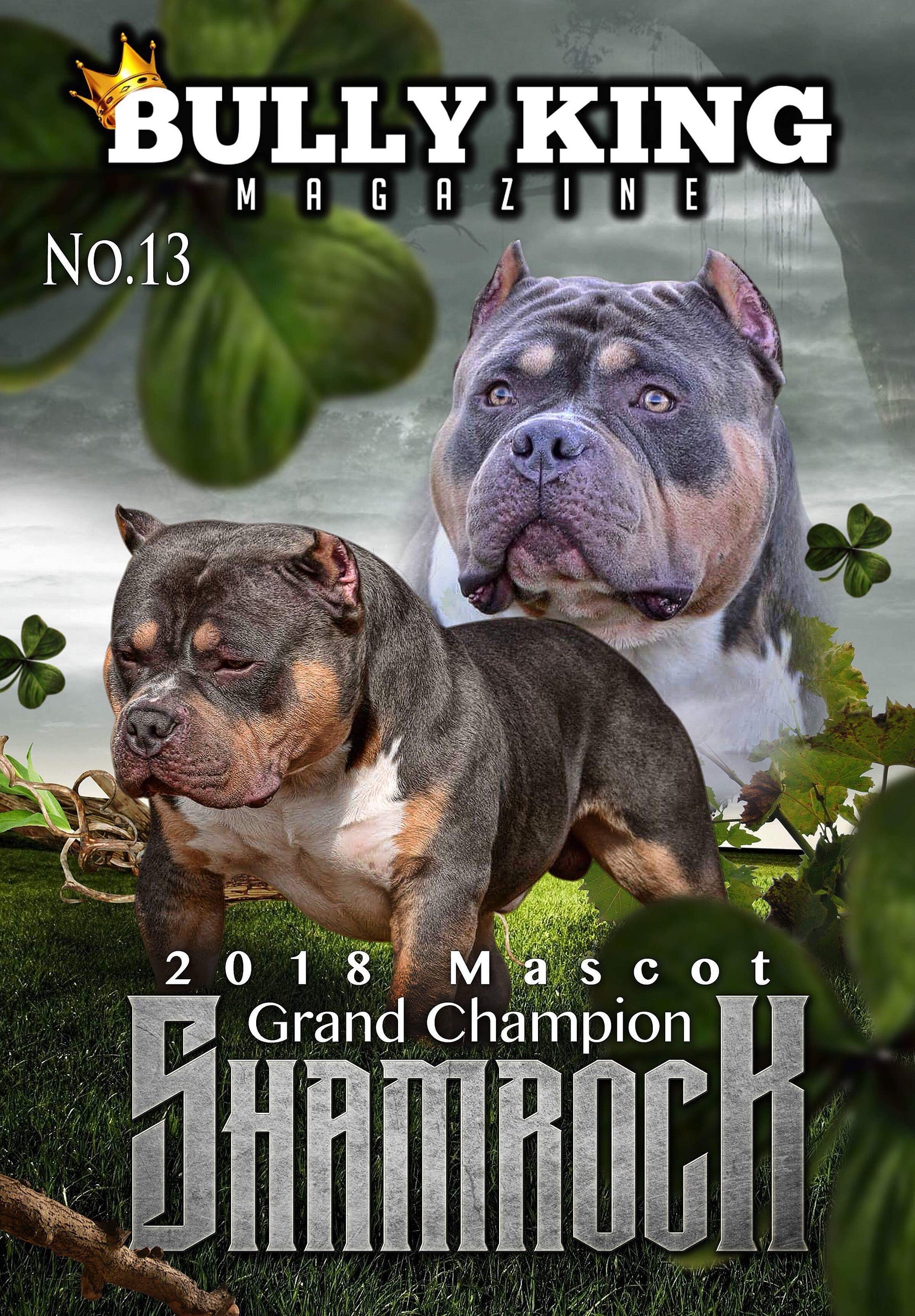 HOW MUCH DOES AN AMERICAN BULLY COST?, by BULLY KING Magazine, BULLY KING  Magazine