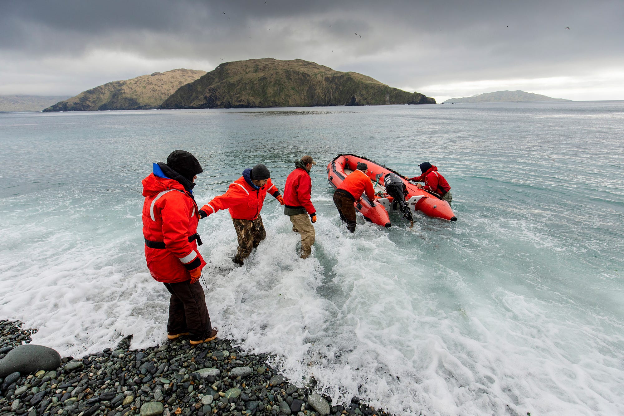 6 Reasons Why Alaska's Aleutian Islands Are A Hot Spot For Sea Life