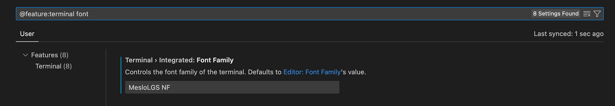 VSCode terminal font