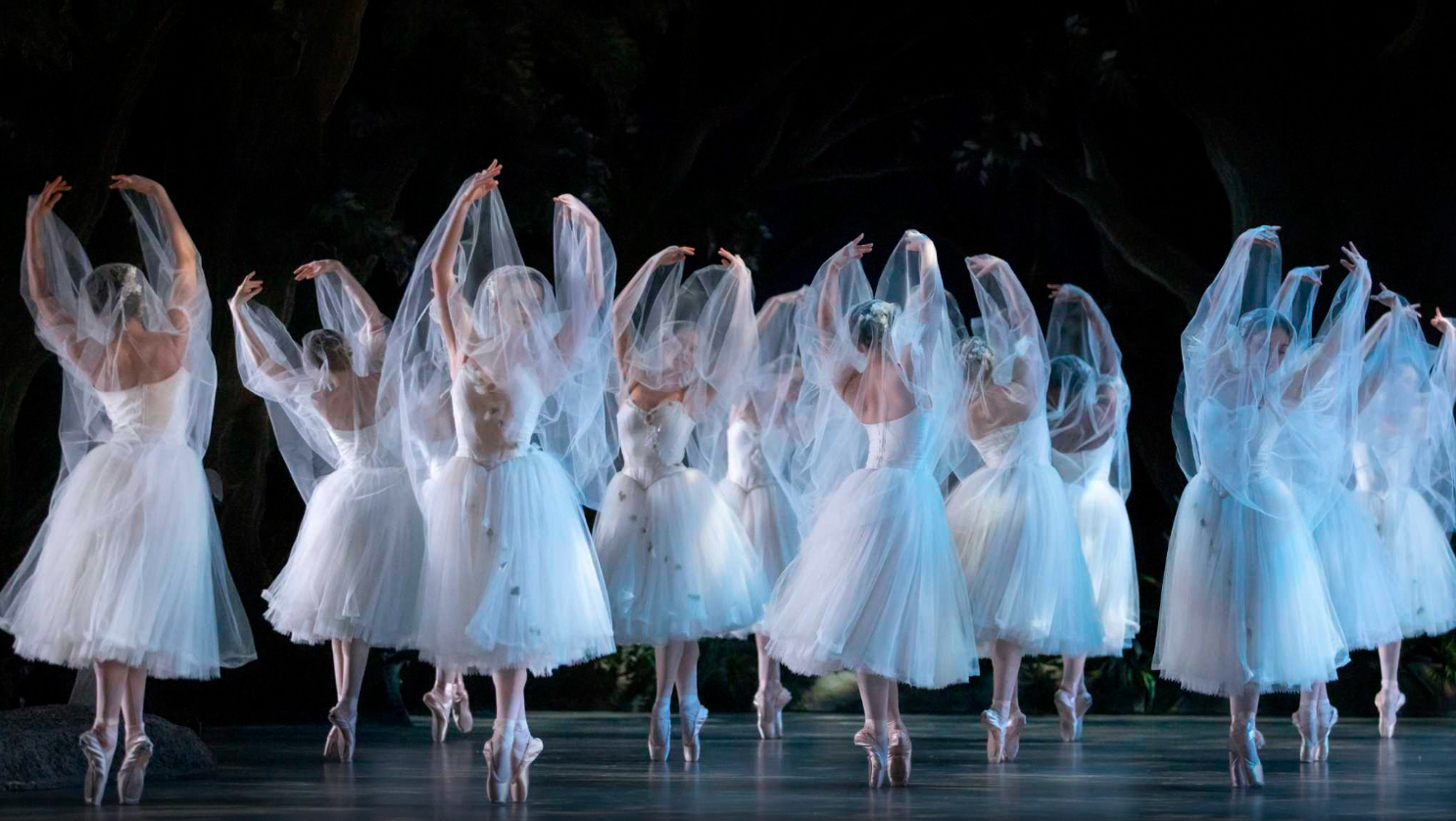 Raymonda wants love and a career — SF Ballet gives her both