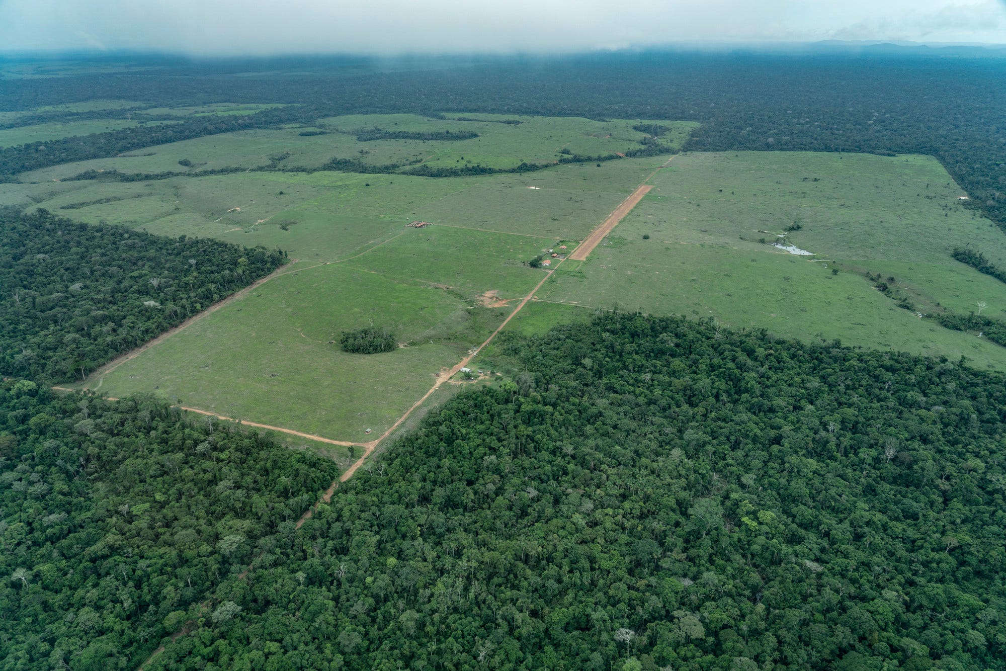 Amazônia ameaçada: Colniza, um retrato do desmatamento em Mato Grosso
