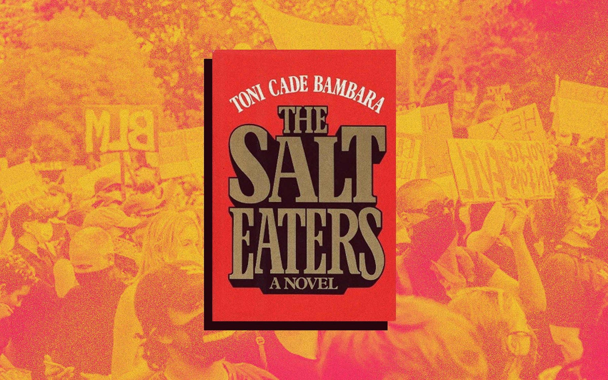 Rereading The Salt Eaters Helped Me Process My Pandemic Fears by Kaitlyn Greenidge ZORA