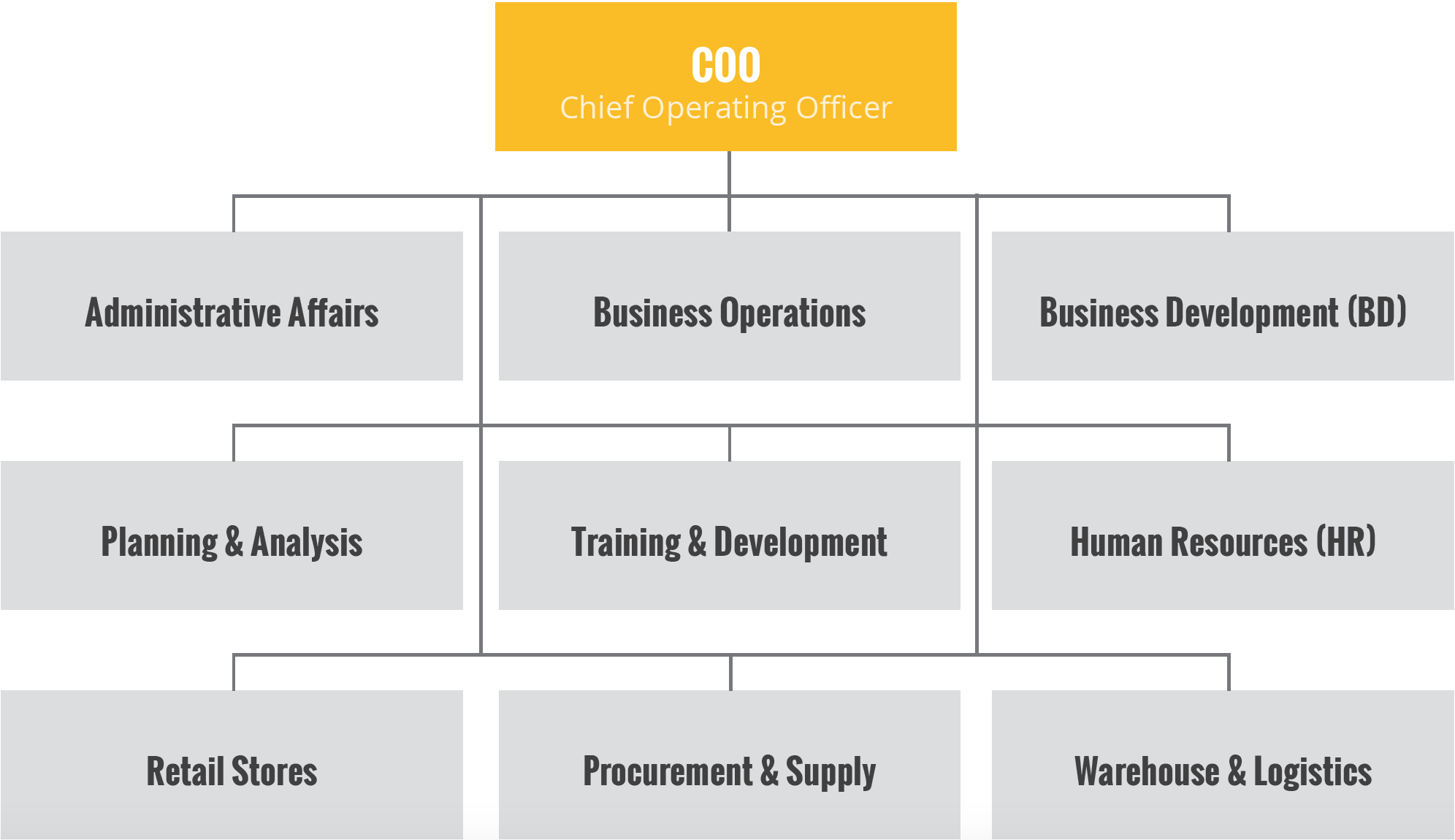 STARTUP] Business Operations: Organizational Chart — CHIEF OPERATING OFFICER  (COO) | by Artem Tokariev | Medium