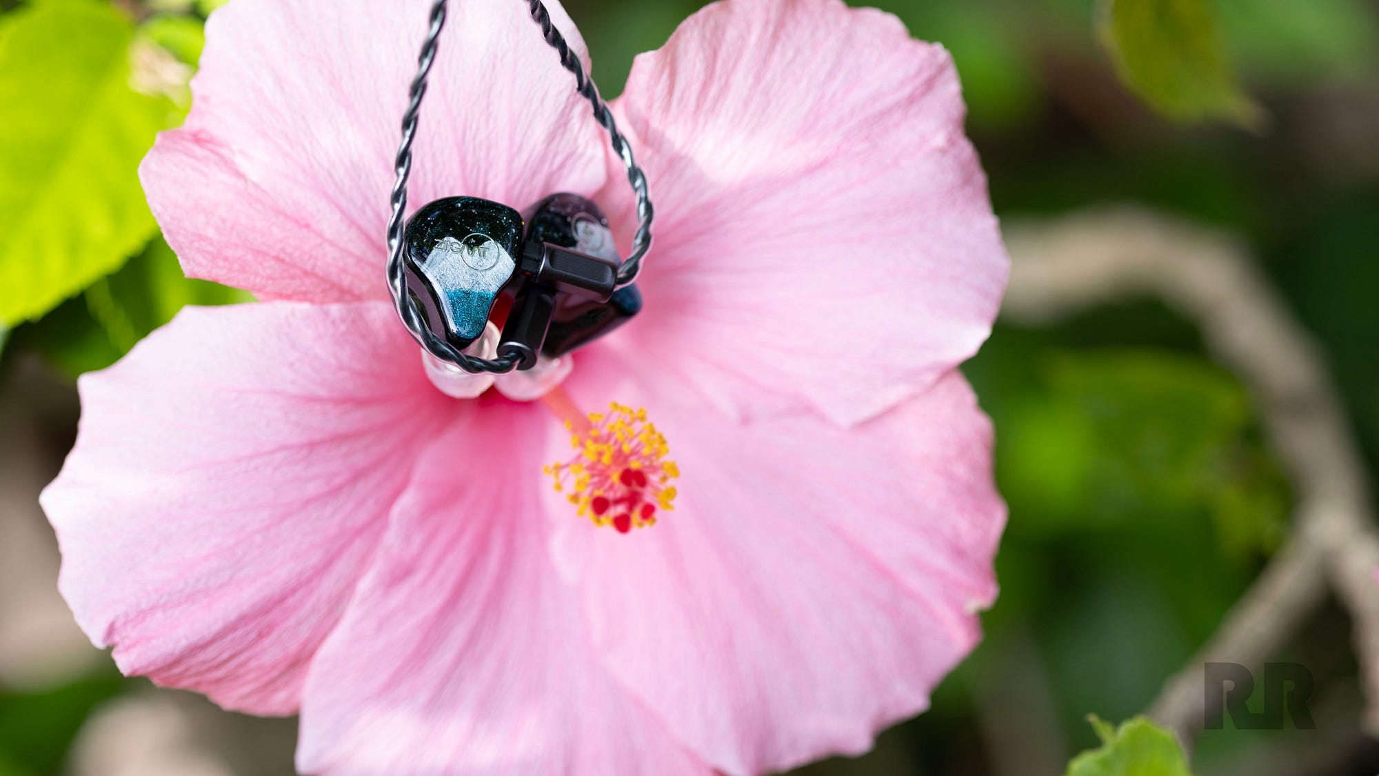 ZiiGaat Horizon Review: Like Staring Into The Sunrise | by Aaron