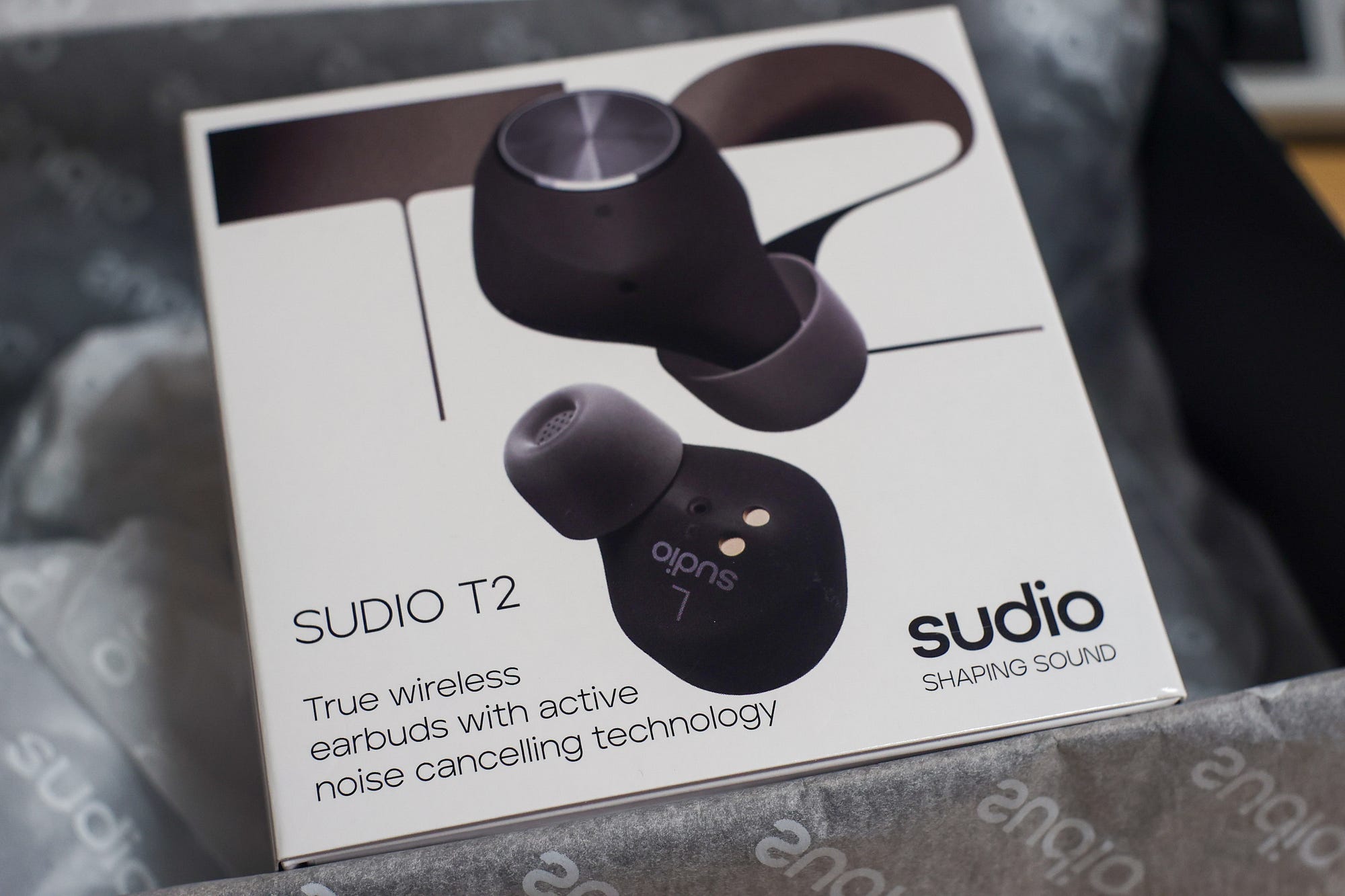 Sudio T2：バランスのいい普通に使えるANCとマイクも搭載した完全