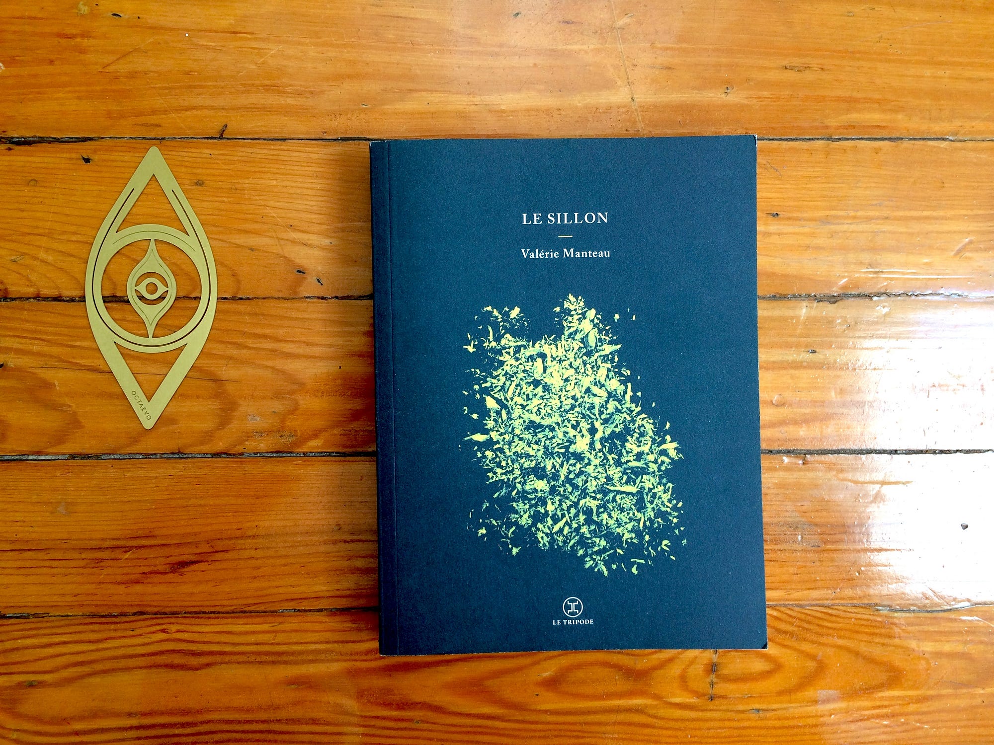 Le Sillon, Valérie Manteau. Le Sillon est un livre d'Histoire, un… | by  Hélène Bottin | Scribe | Medium