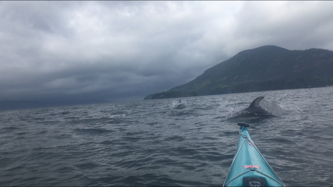 Peter goes on a long kayak trip: paddling around Vancouver Island