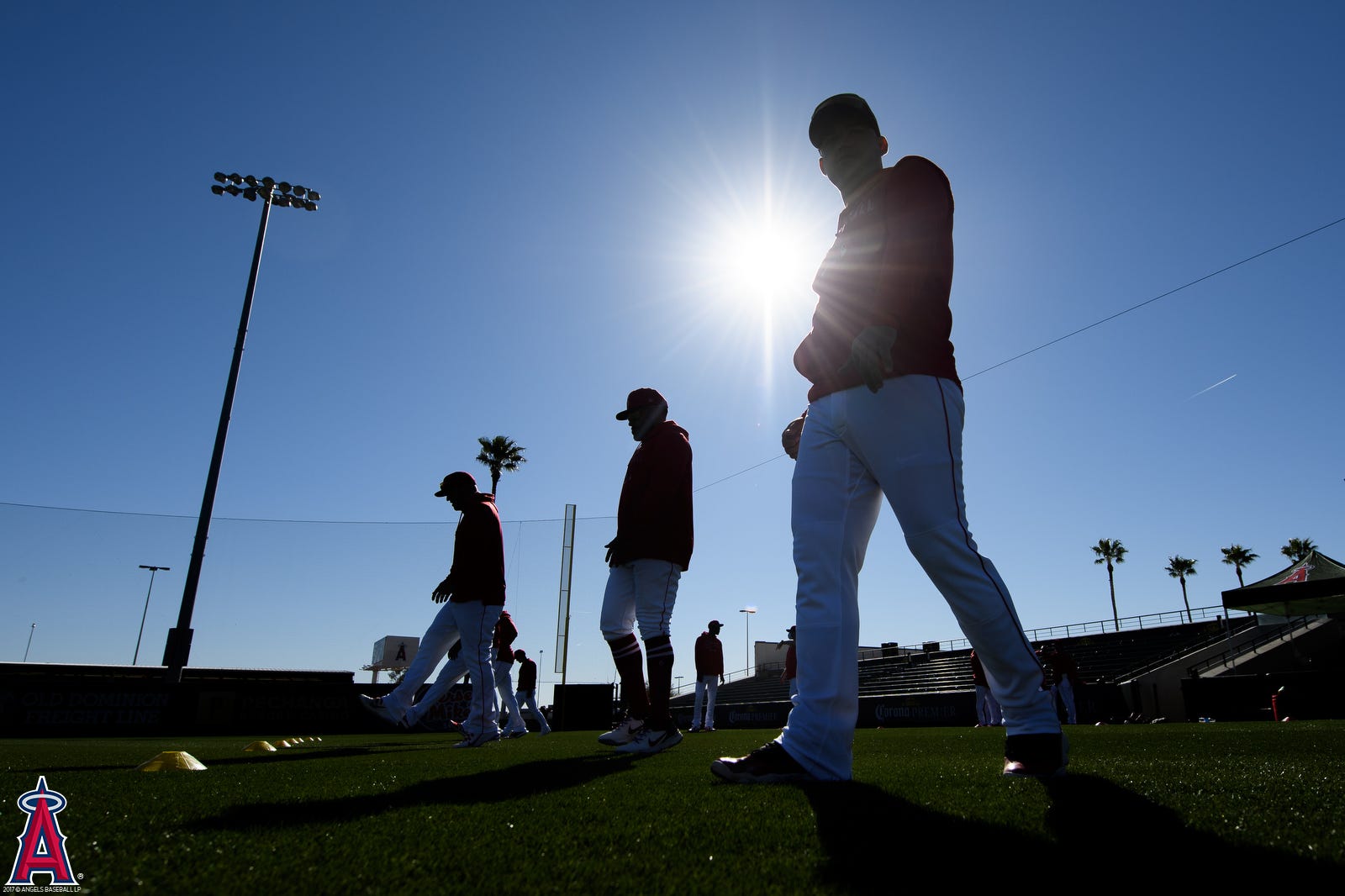 My Tour of the Cactus League - Halos Heaven