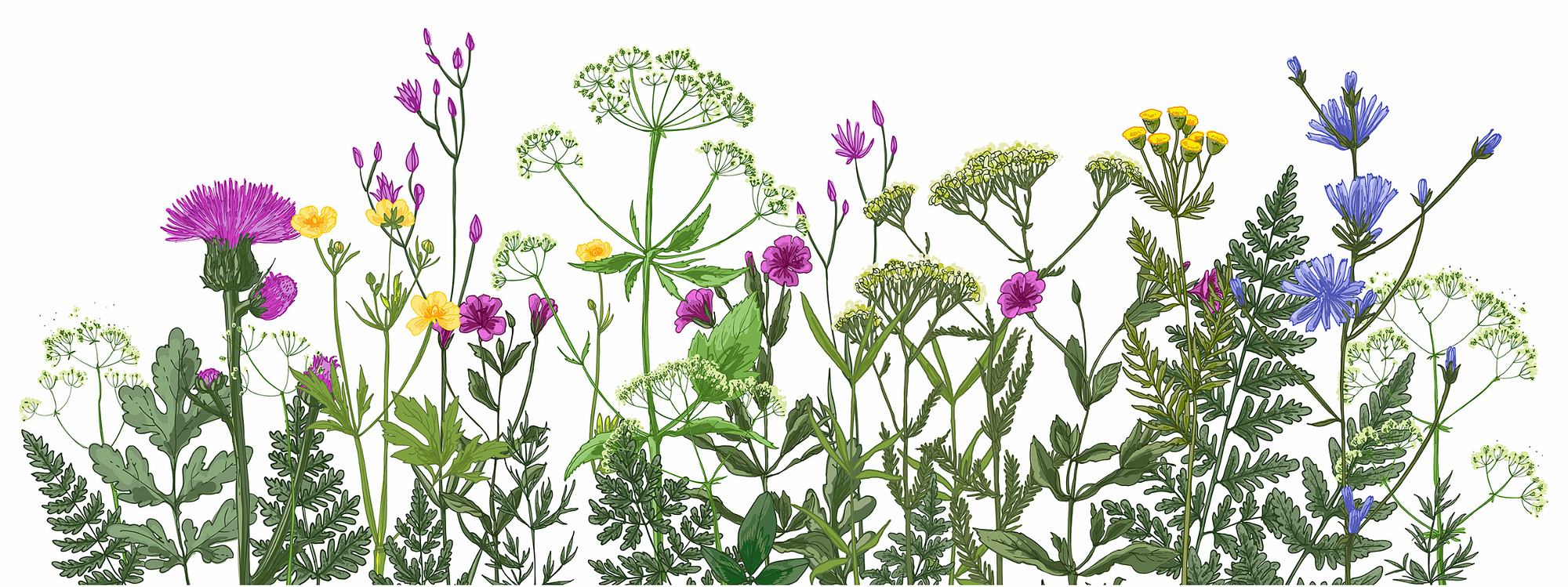 3 Dreamy Ways Herbs & Flowers Can Elevate Your Smoke Sesh, by Ilana Dadras