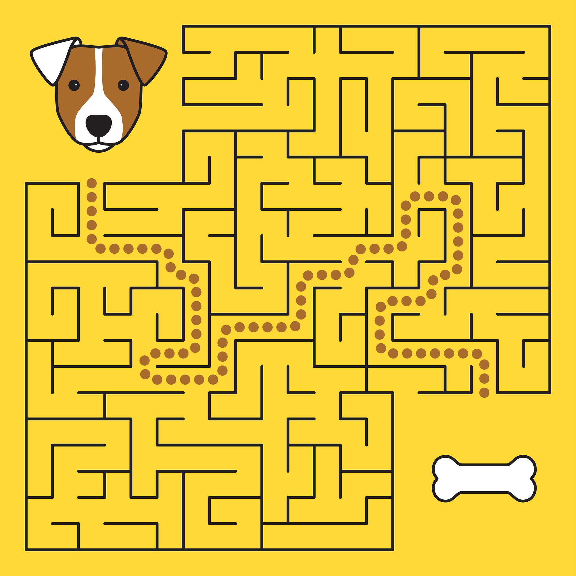 Cracking the crypto maze. World will remember 2020 and 2021 for… | by  Yashraj Erande | Medium