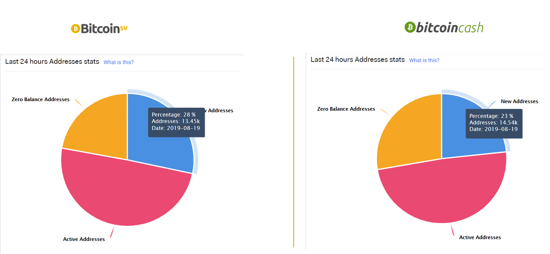 Bitcoin Cash vs. Bitcoin SV: What Data Tells Us 10 Months After the Hash  Wars | by Jesus Rodriguez | Sentora | Medium