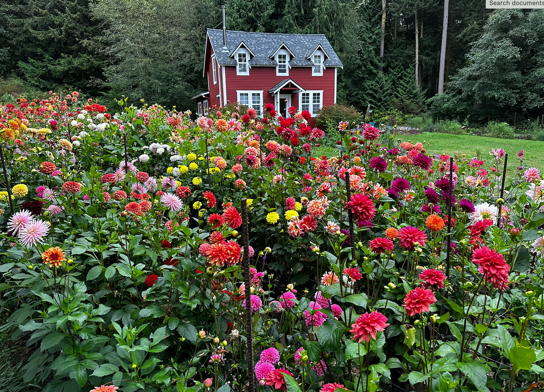 키 큰 전나무로 둘러싸인 개간지에 자리한 그림 같은 2층짜리 붉은색 오두막. 전경에는 화려한 달리아가 활짝 핀 정원이 펼쳐져 있습니다.<BR>