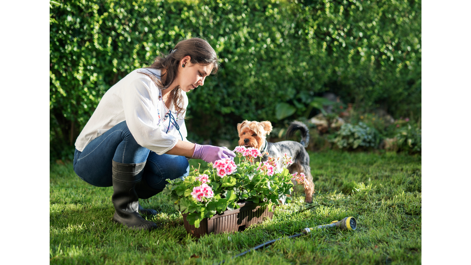 Garden of Pets