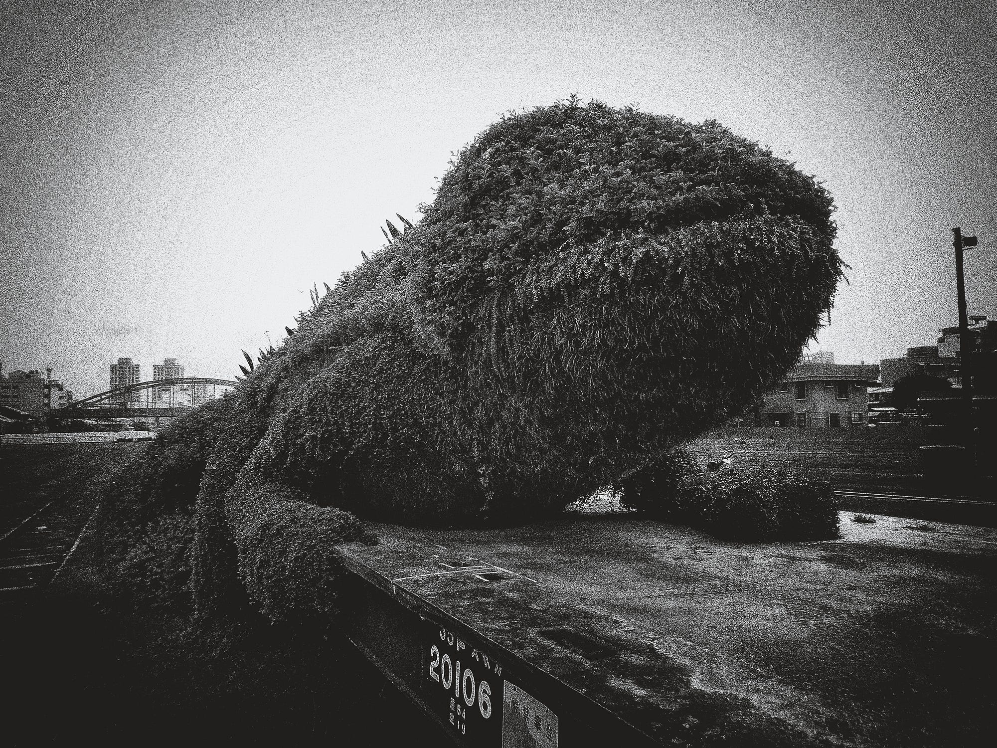 A Matter of Reasonably Abstracted Sensuality — Daido Moriyama