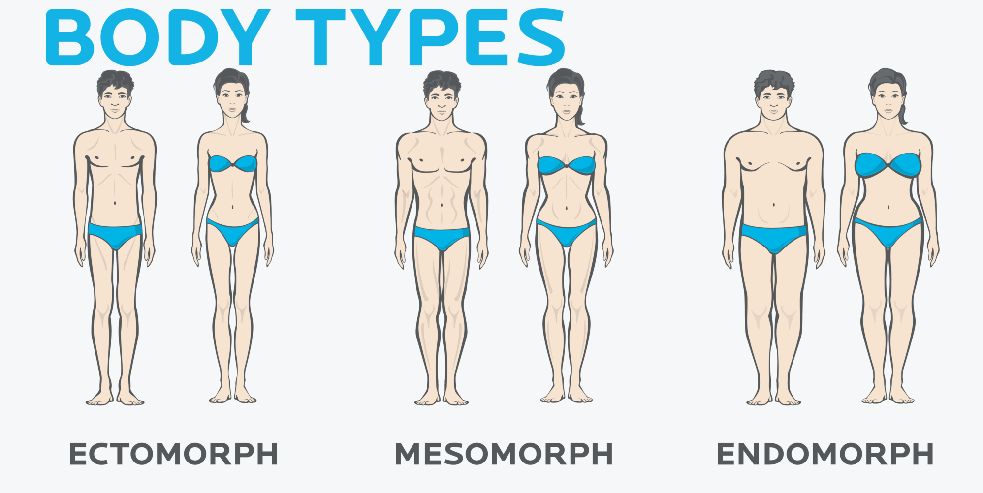 Understanding the 3 Body Types Can Produce Better Health Results, by Angie  Mohn, In Fitness And In Health