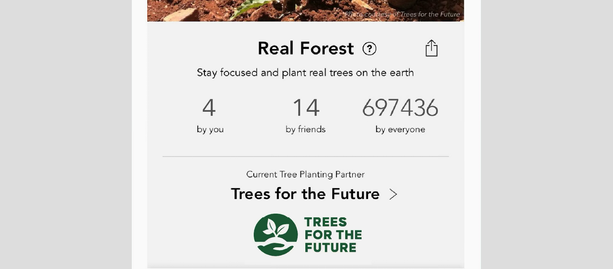 How Forest weaponized guilt to hook 40 million phone addicts | by Jo Ash  Sakula | Medium