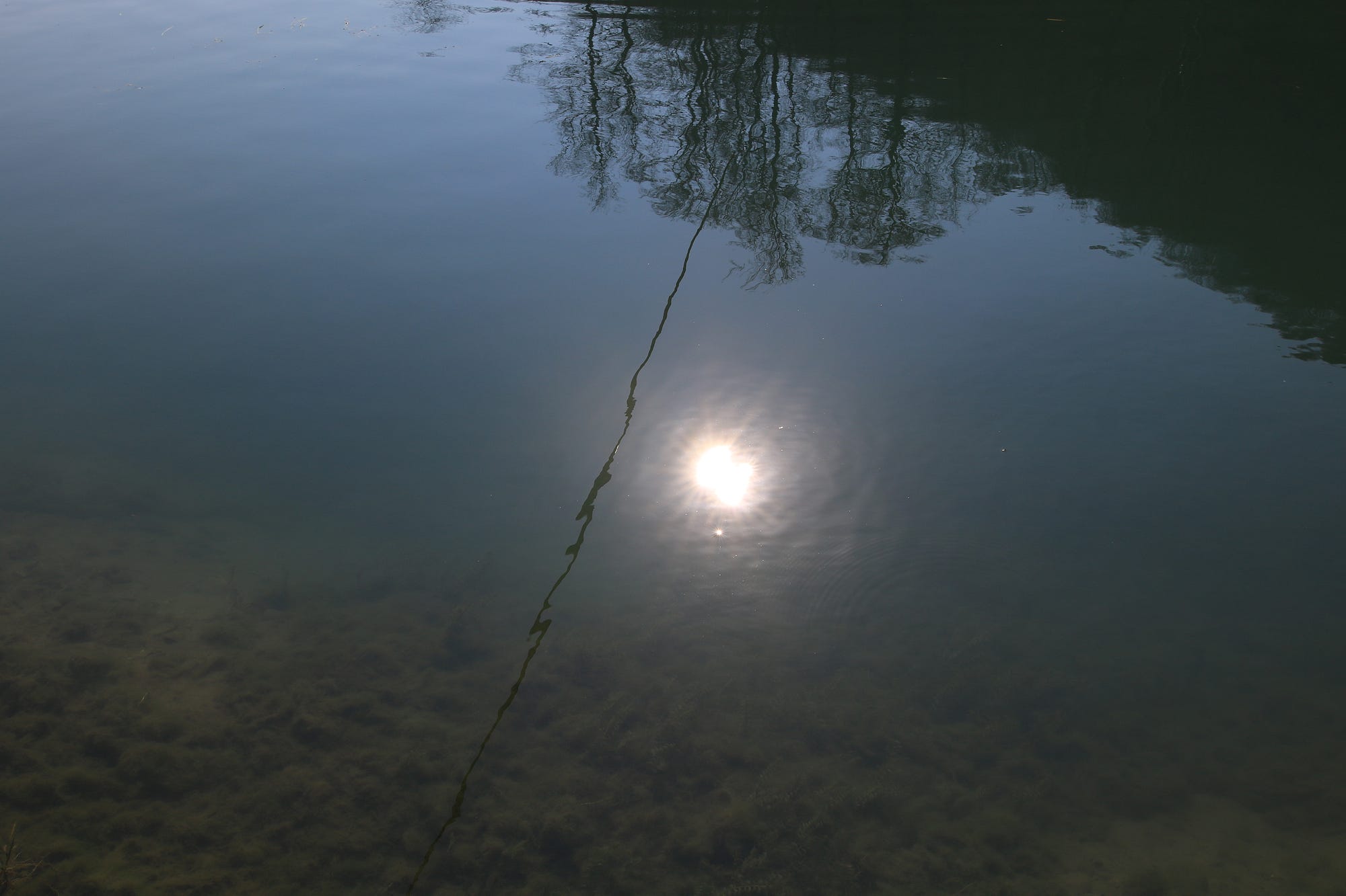 Reflections of Nature in a Mirror Made of Water, by Anne Bonfert, SNAPSHOTS