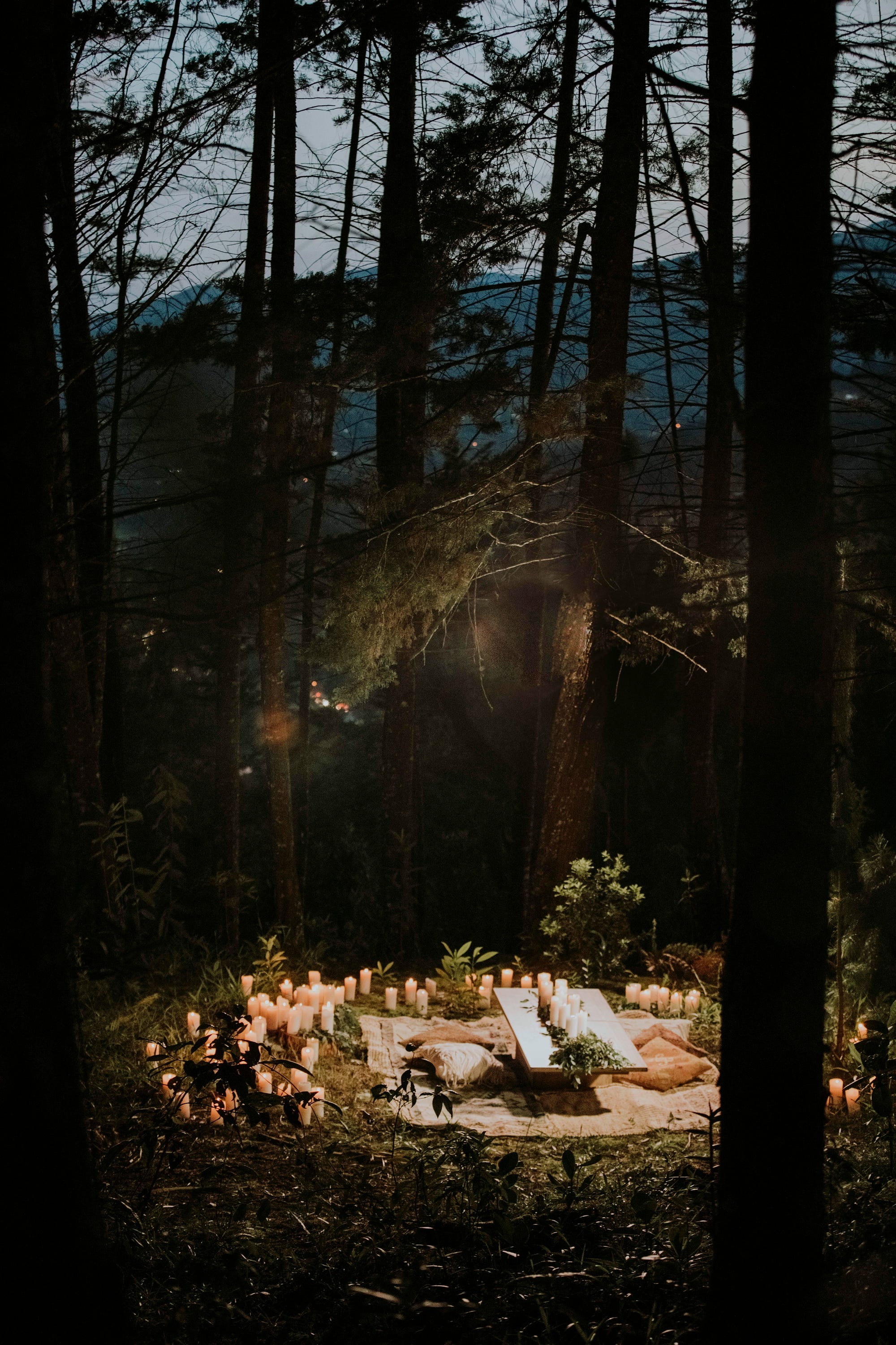 Dani and Daniel. A picnic proposal: | by NORA Events | Medium