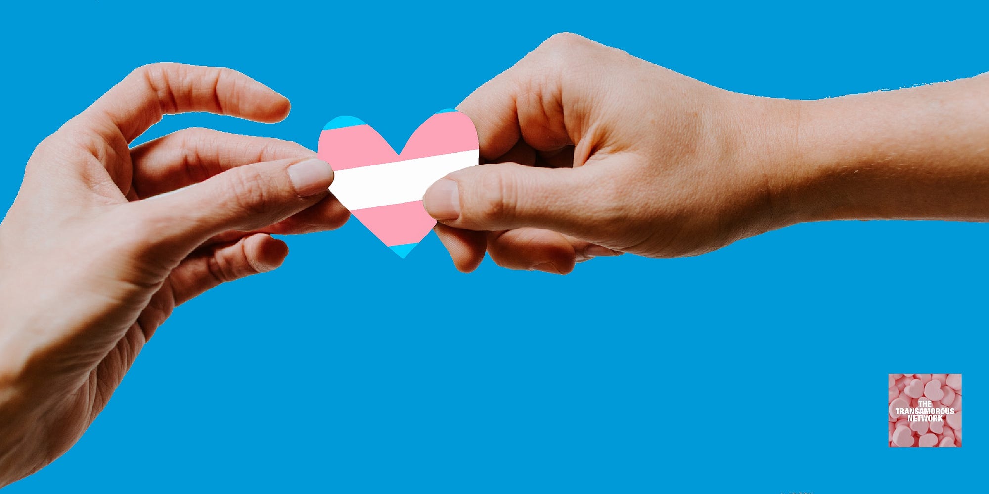 Trans-Attraction: An Unappreciated Gift For Trans Women | by Perry Gruber |  The Transamorous Network | Medium