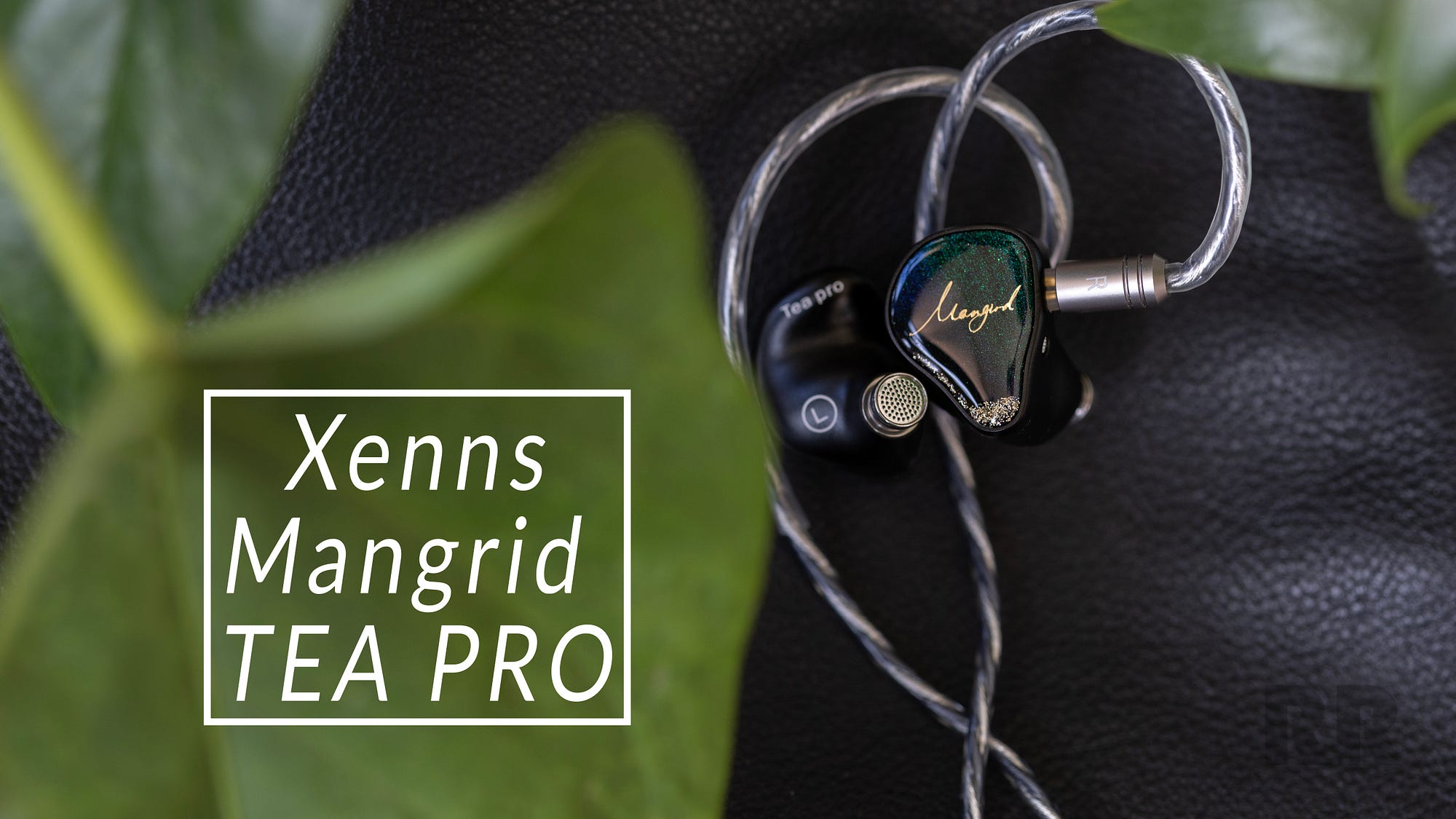 i*o様 XENNS Tea Pro XENNS Mangird Tea Pro Review — Headfonics