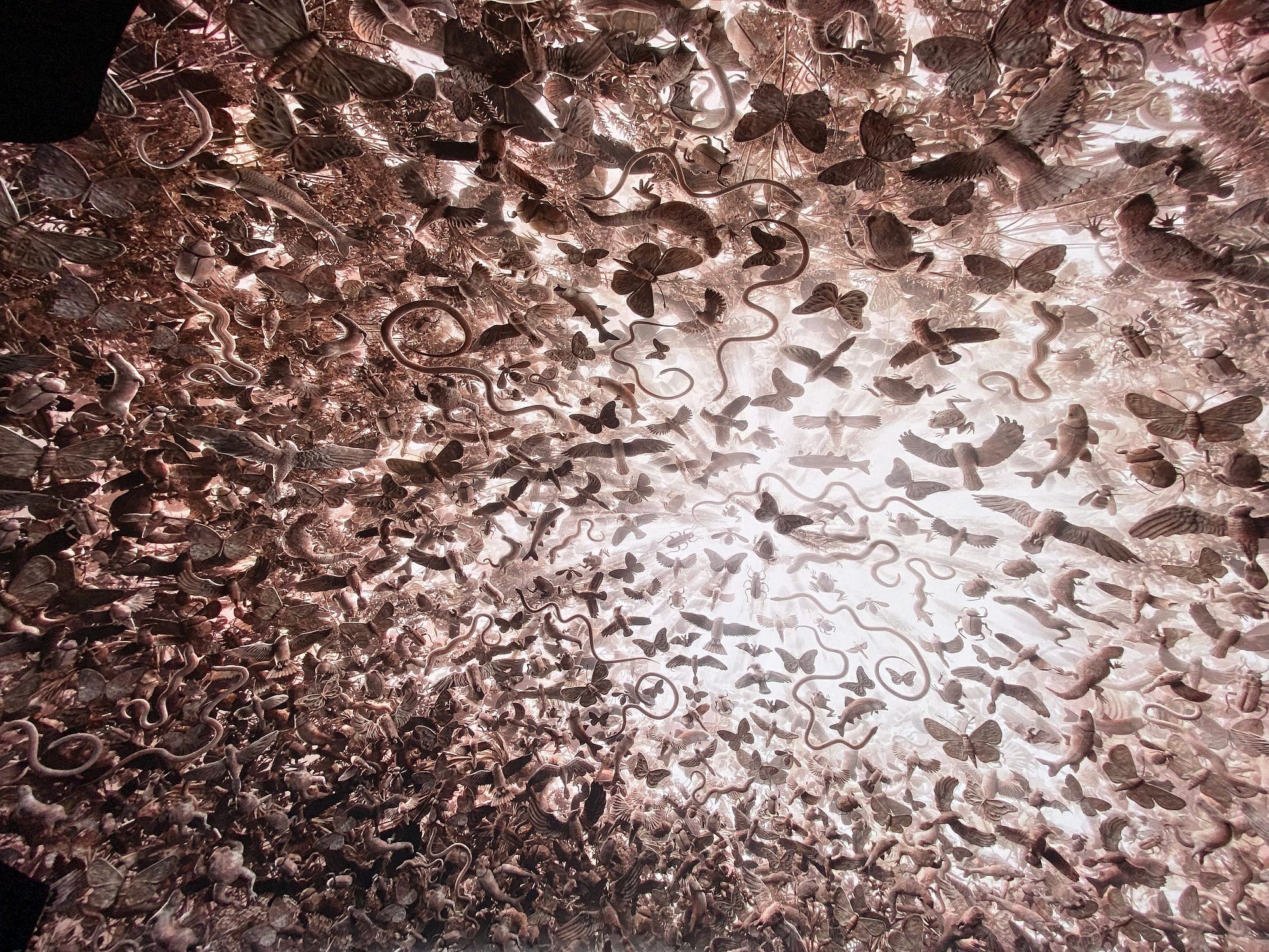 I Saw U2 at the Sphere and It Was the Best Night of My Life | by