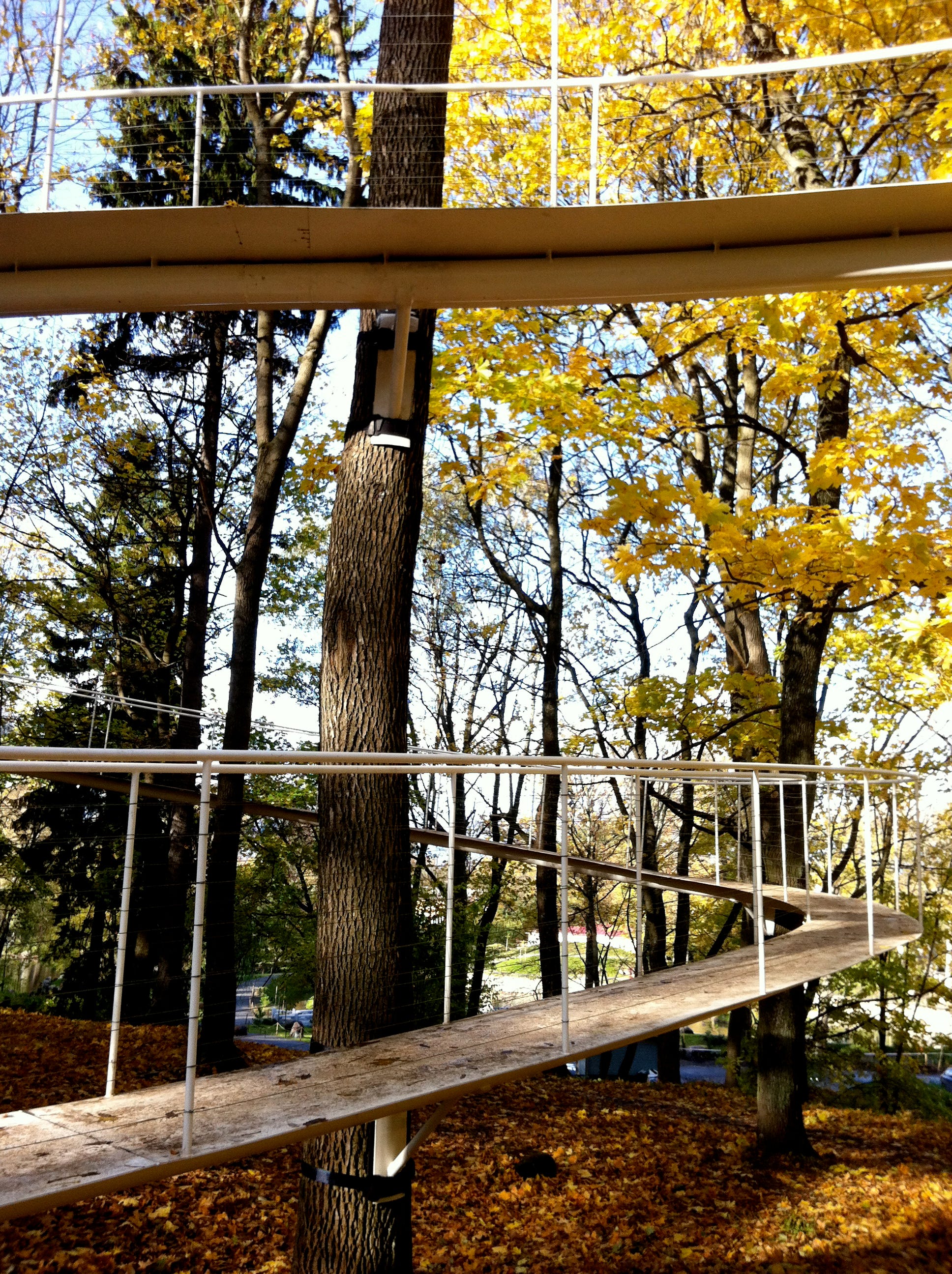 日本の庭 AN APPROACH TO NATURE The Japanese Garden An