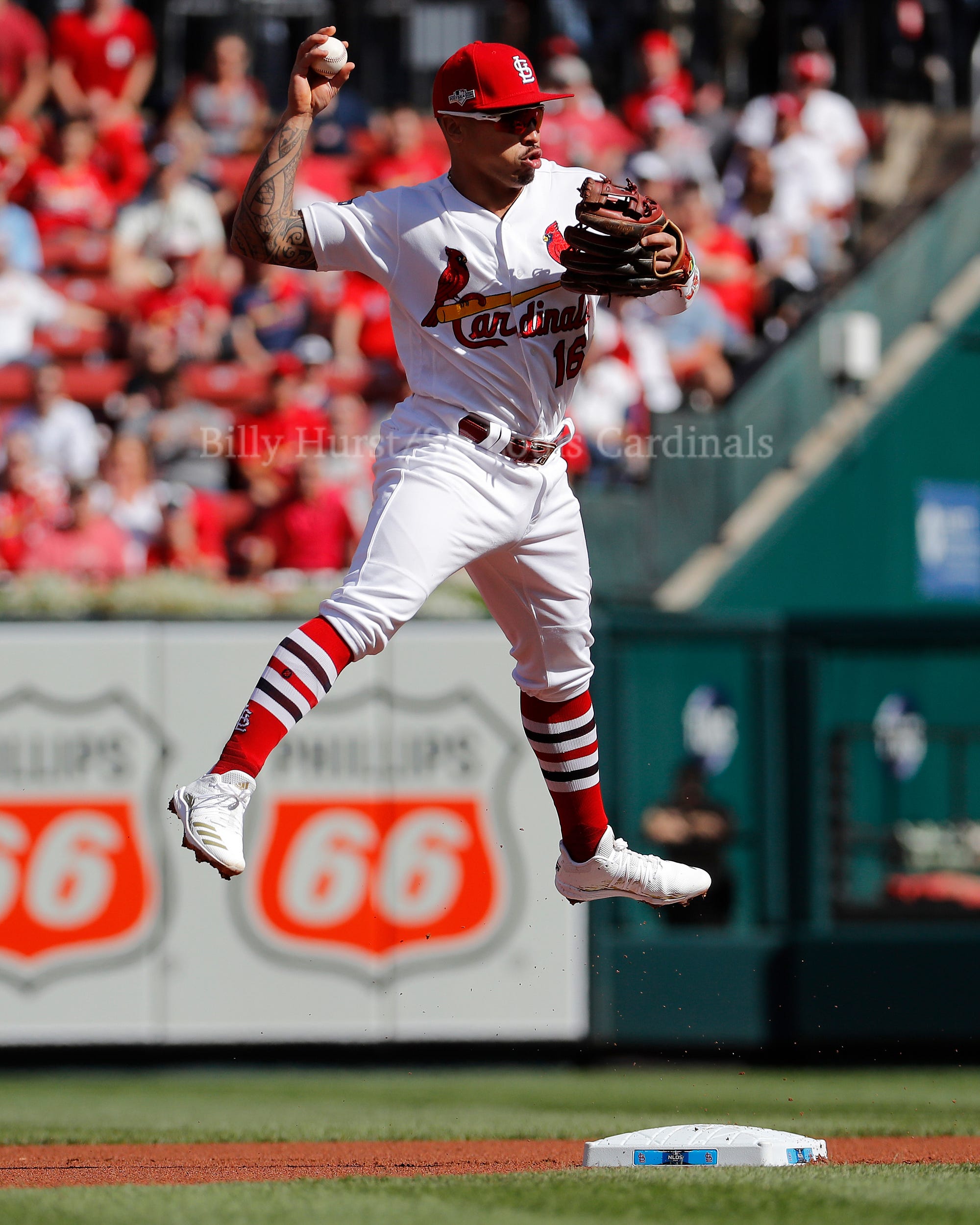 Gold Glove Nominees. 2019 St. Louis Cardinal Gold Nominees…