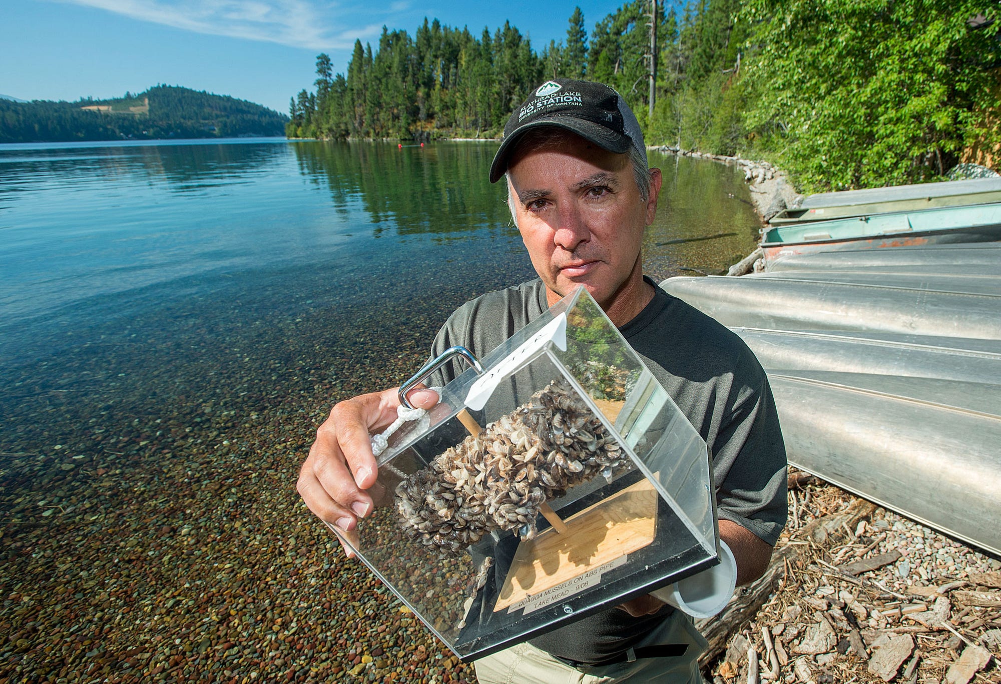 The Water Warriors. World-class scientists at UM's Flathead… | by  University of Montana | Vision 2018 | Medium