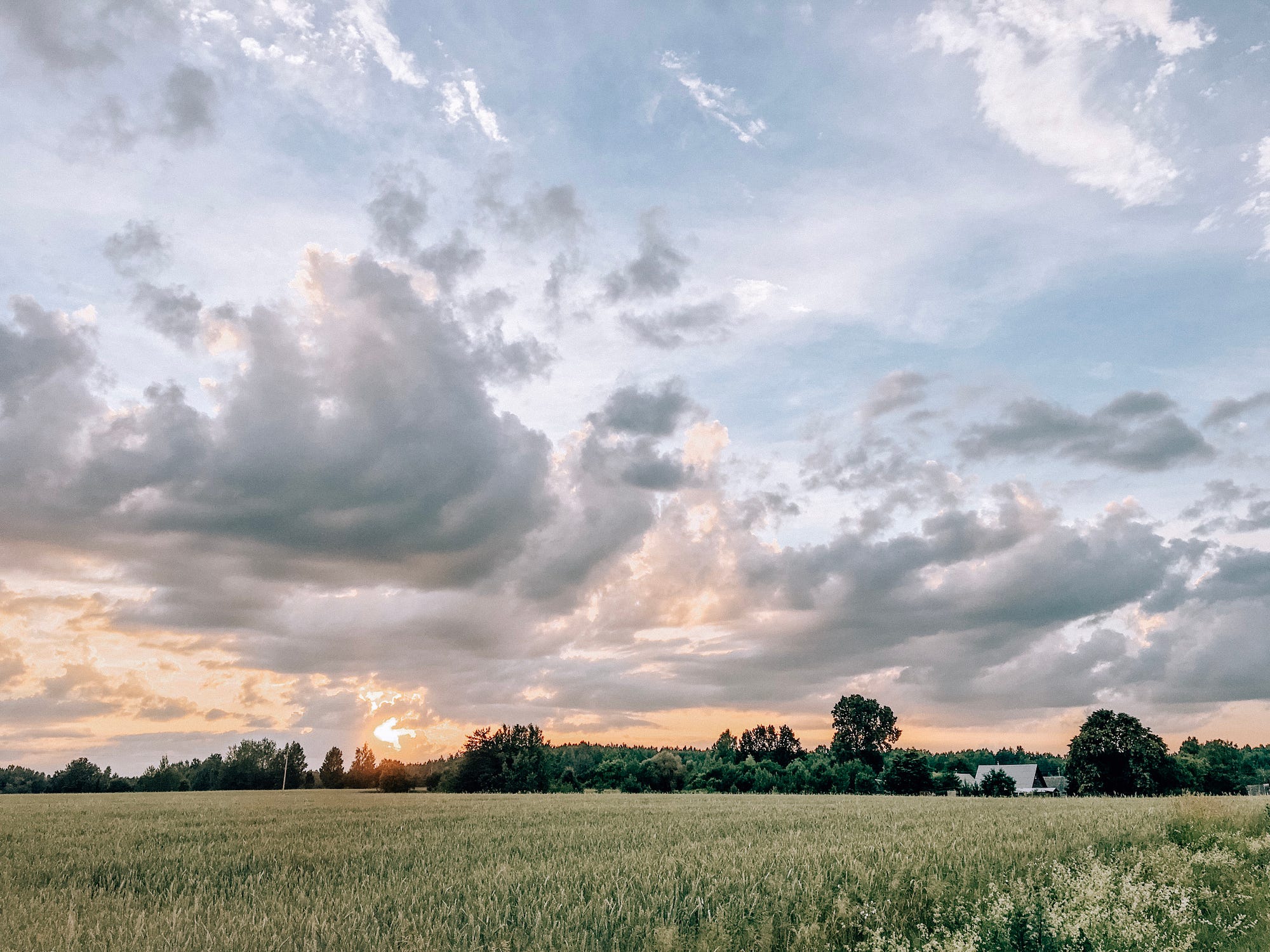 Лето в деревне. Июнь. Мне повезло оказаться в небольшом… | by Alia | Alia  and house in the countryside | Medium