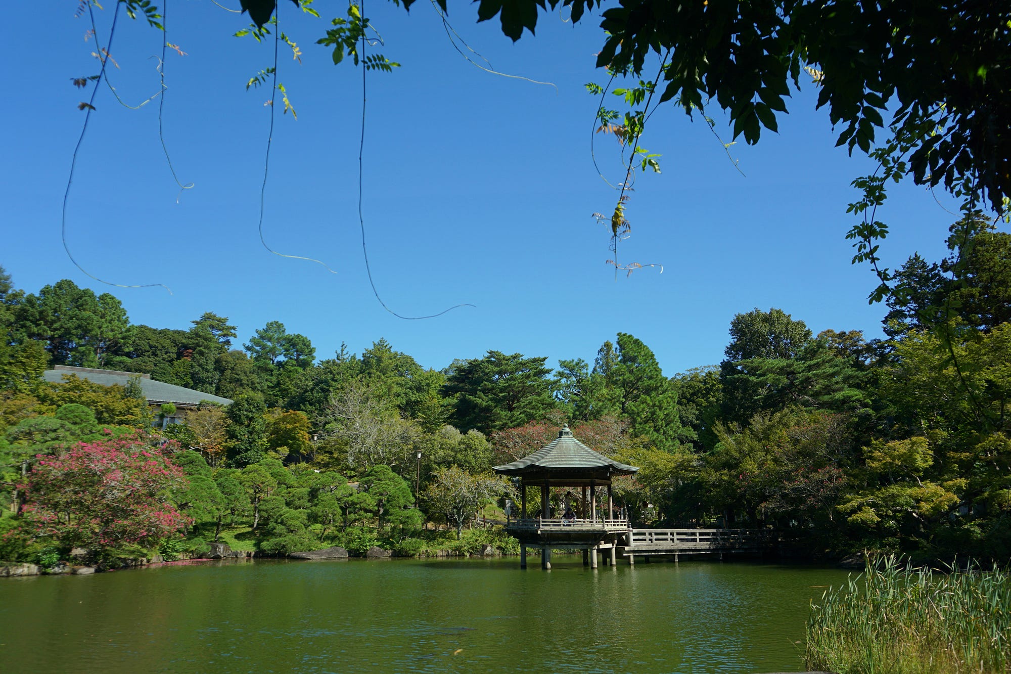Discovering Narita: Beyond the Airport | by Angel Green | True