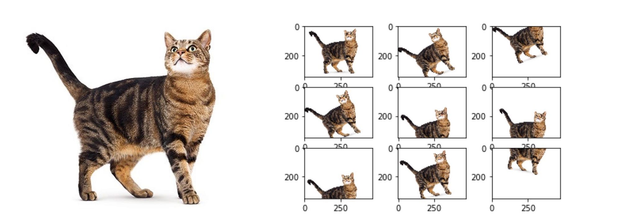 The 4 Convolutional Neural Network Models That Can Classify Your