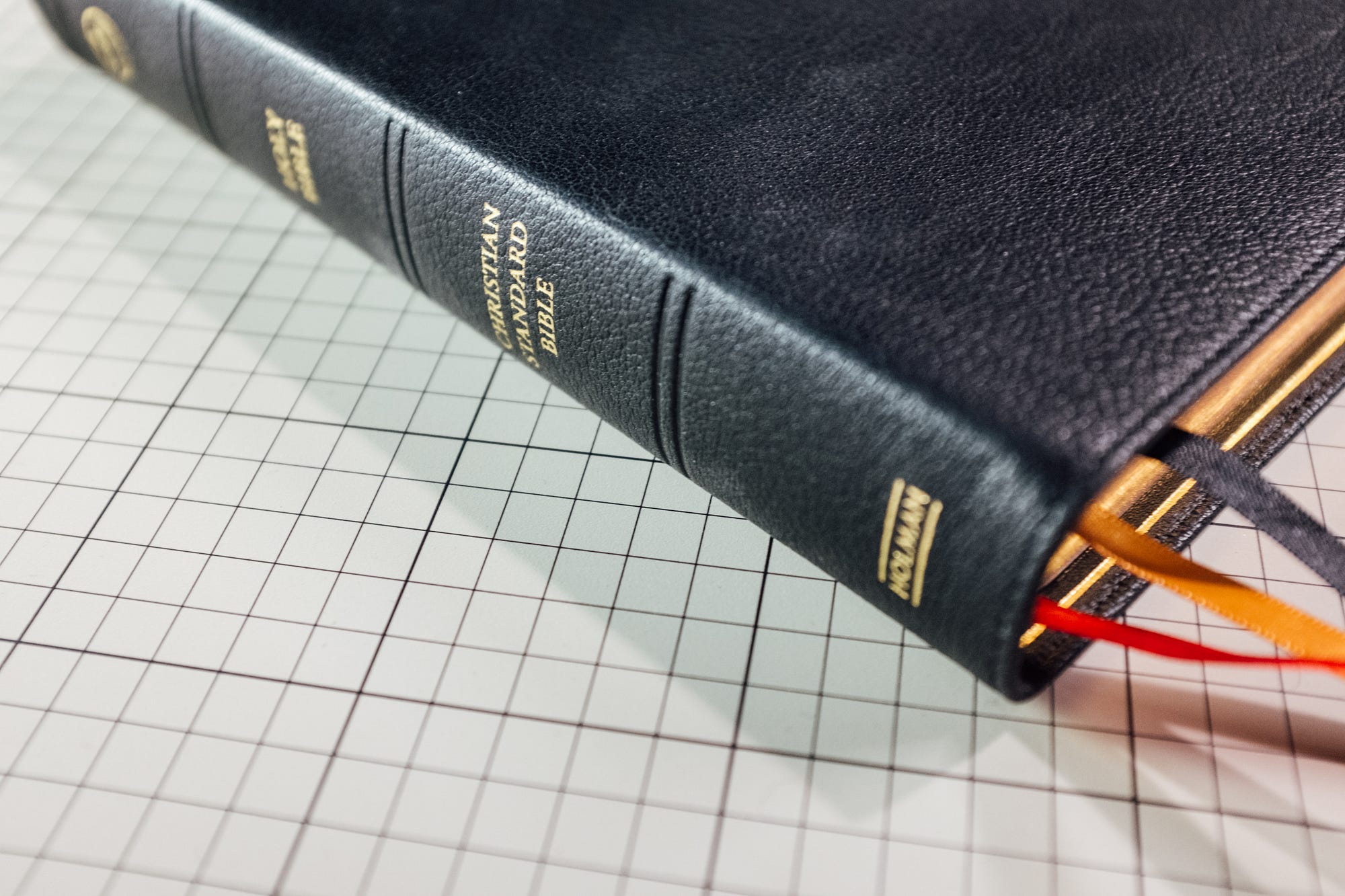 Basic Red Scripture Case  Fits Standard Scriptures