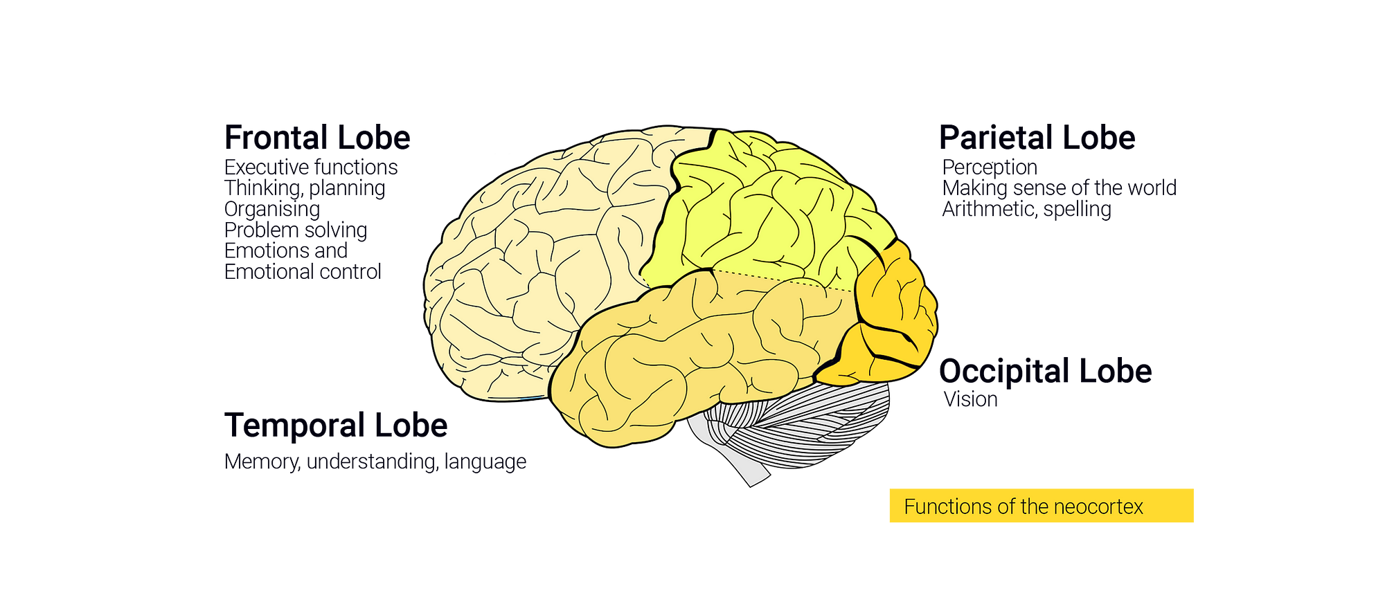 How Neuroscience Inspires AI. Every person inherits some stock of 