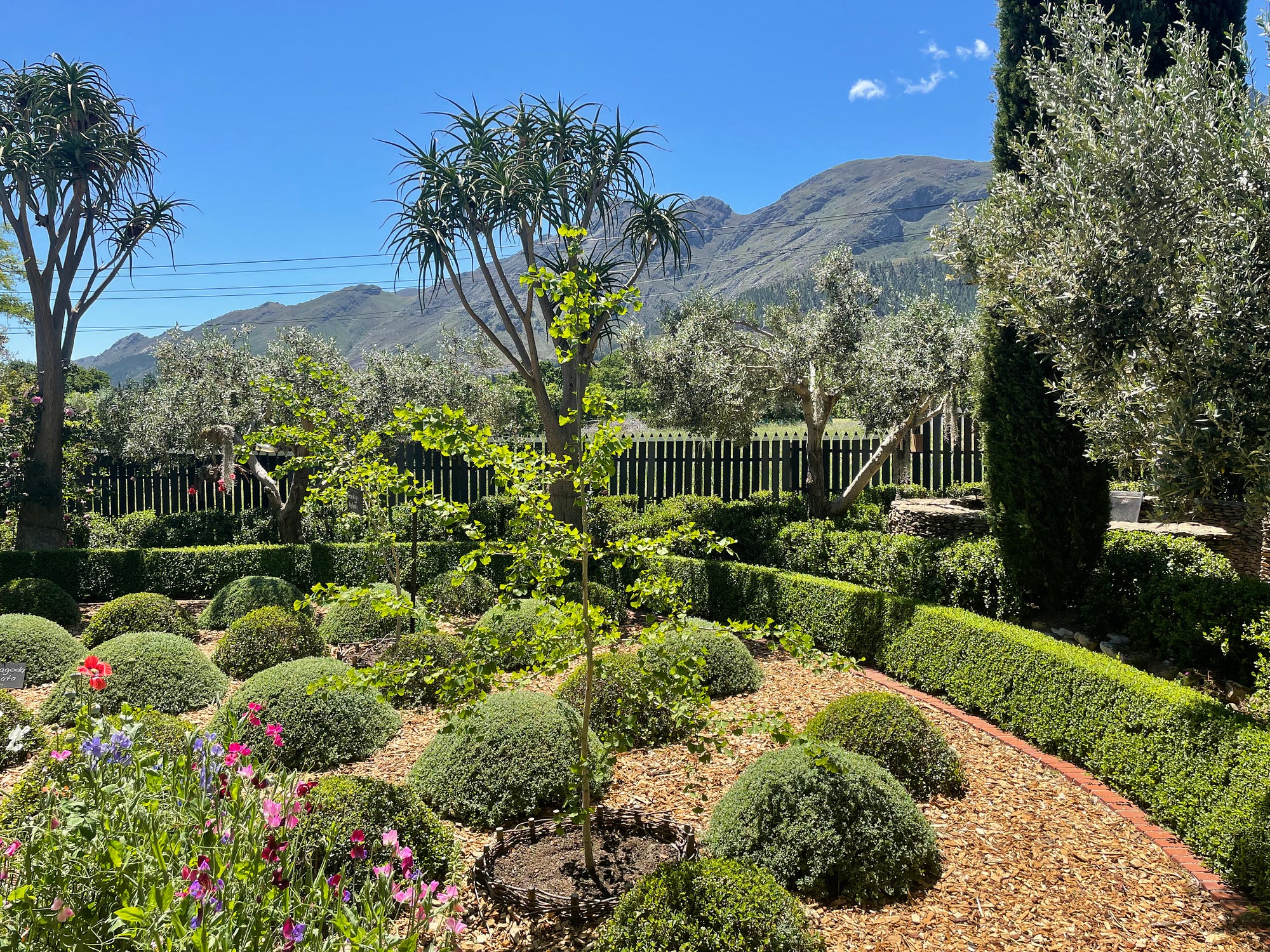 Franschhoek's Magnificent Open Gardens | by Zoë Poulsen