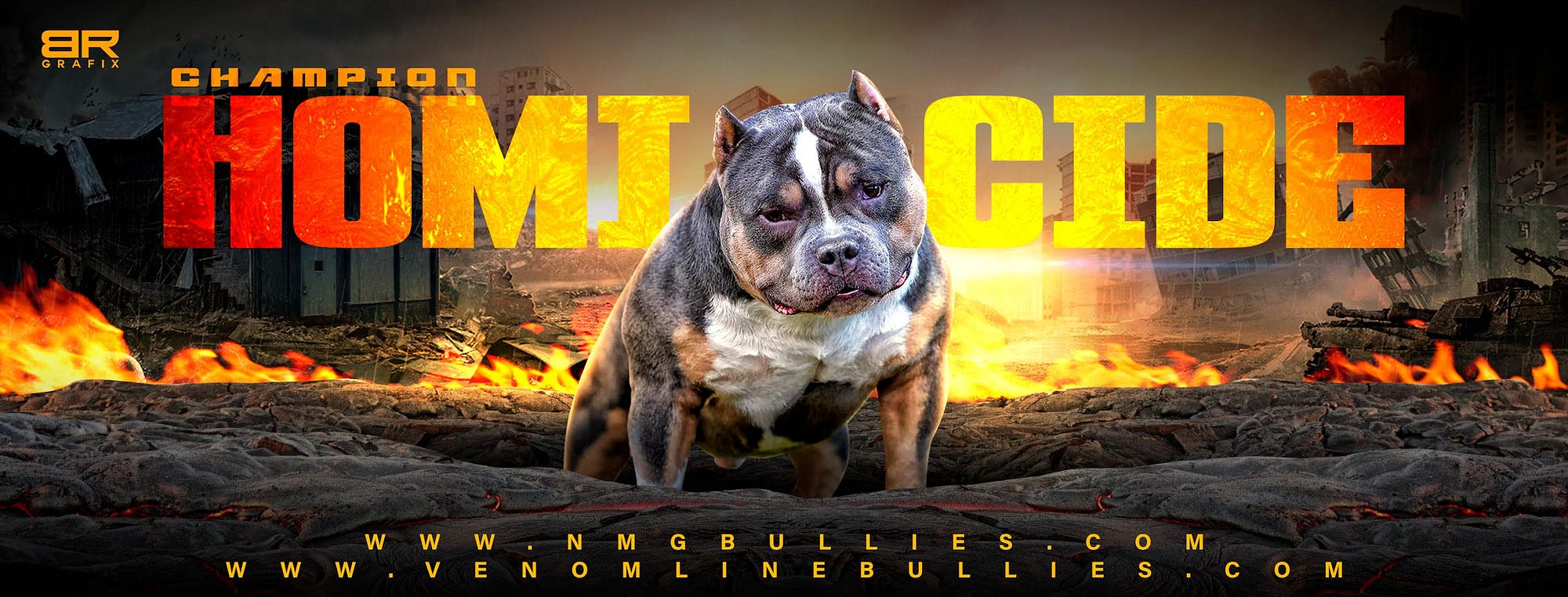 American Bully Breed: A Comprehensive Guide, by MyPetGuides
