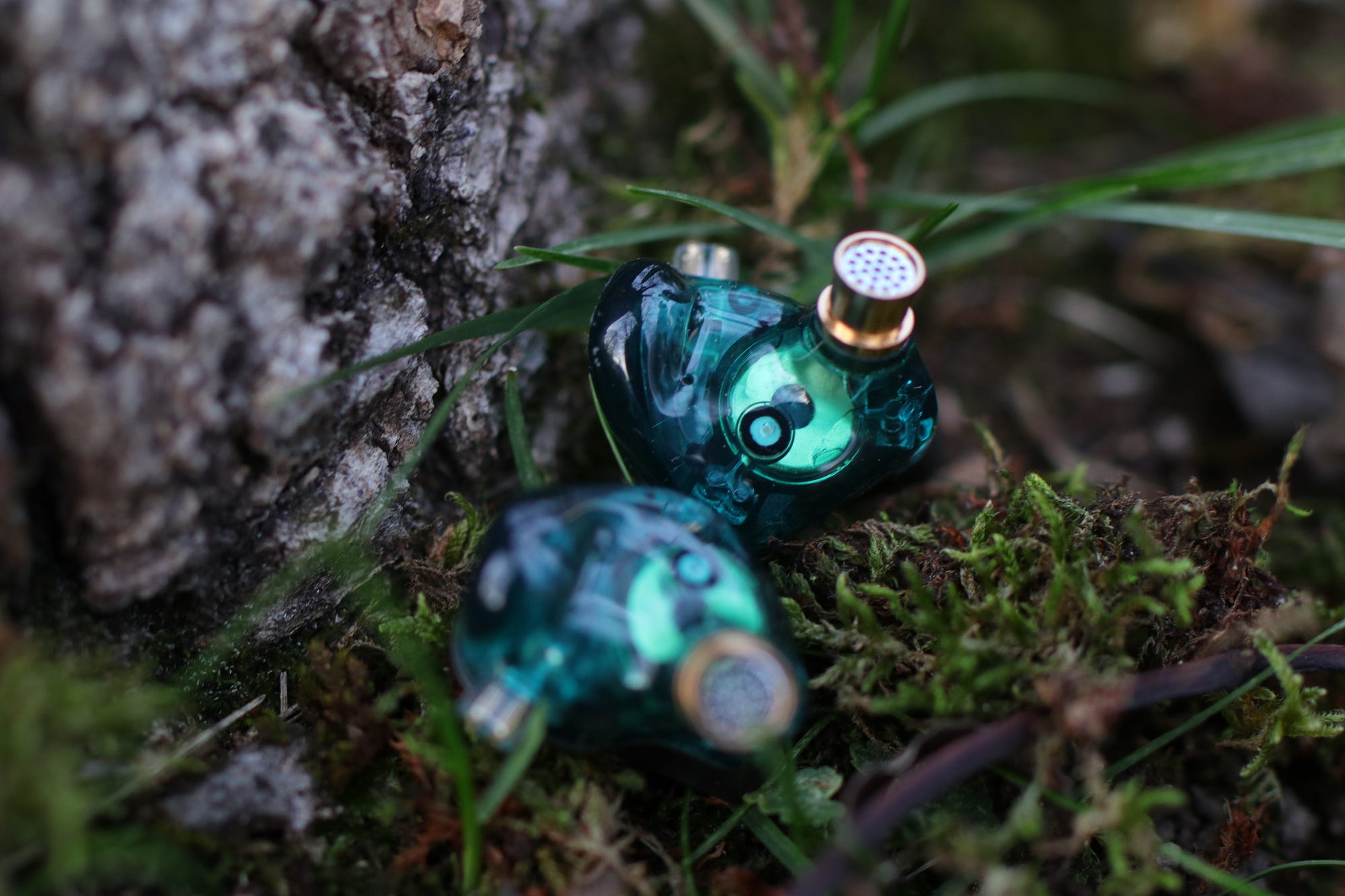 KZ ZSX “Terminator” Review. Another Brick in the Wall | by Kazi