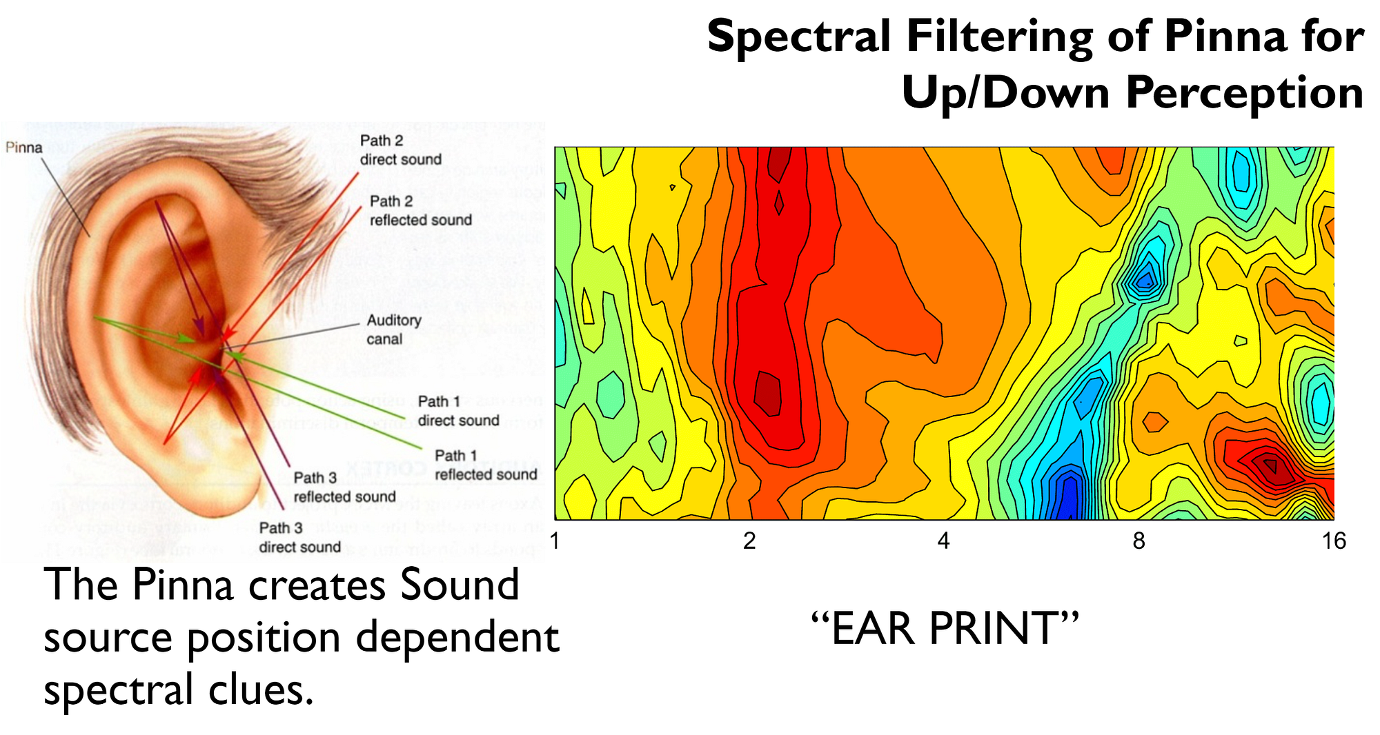 Auditory Localization. An Introduction | by Myk Eff | Sound & Design
