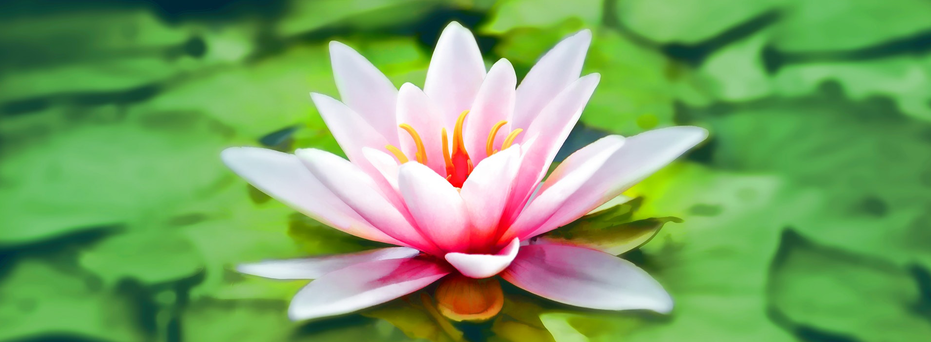 The Lotus Blossom method: ideation on steroids | by Phil Delalande ...